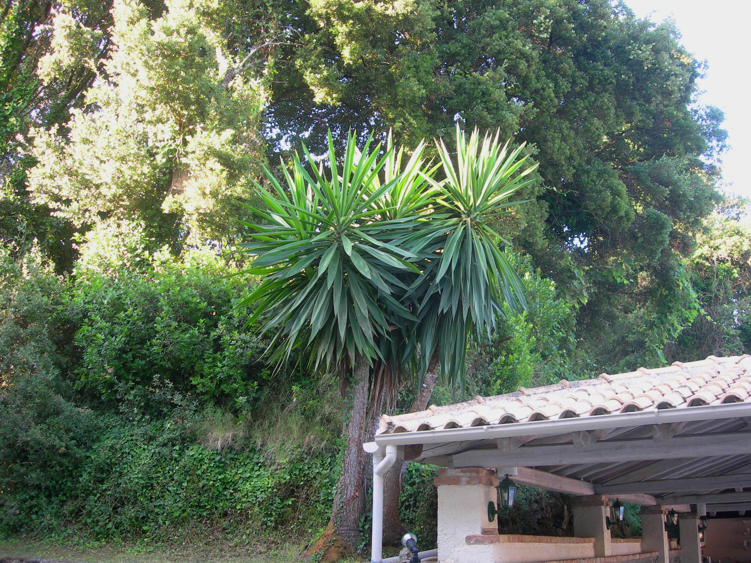 Villa Karmar Aparthotel