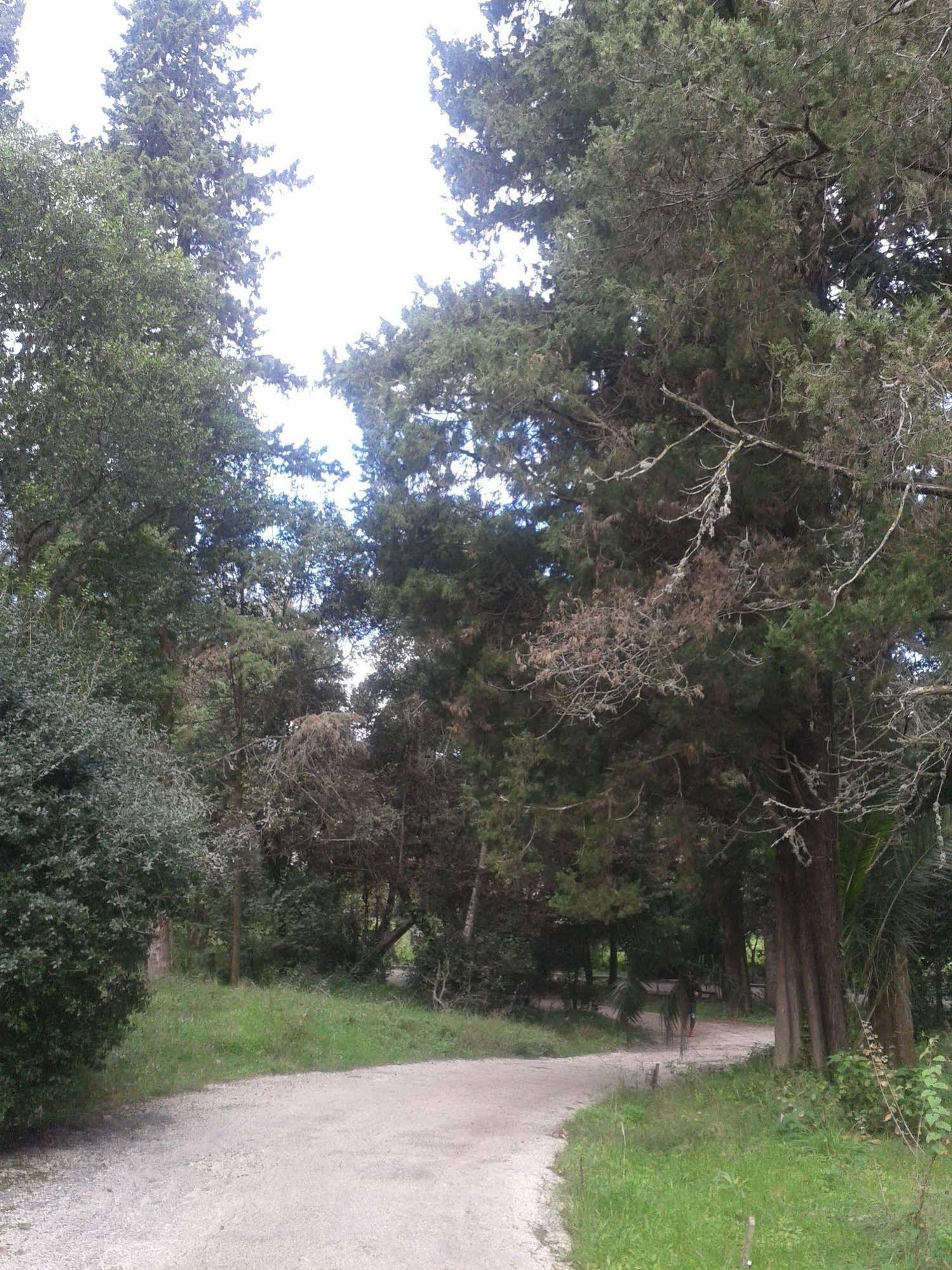 Garitsa Bay Apartment