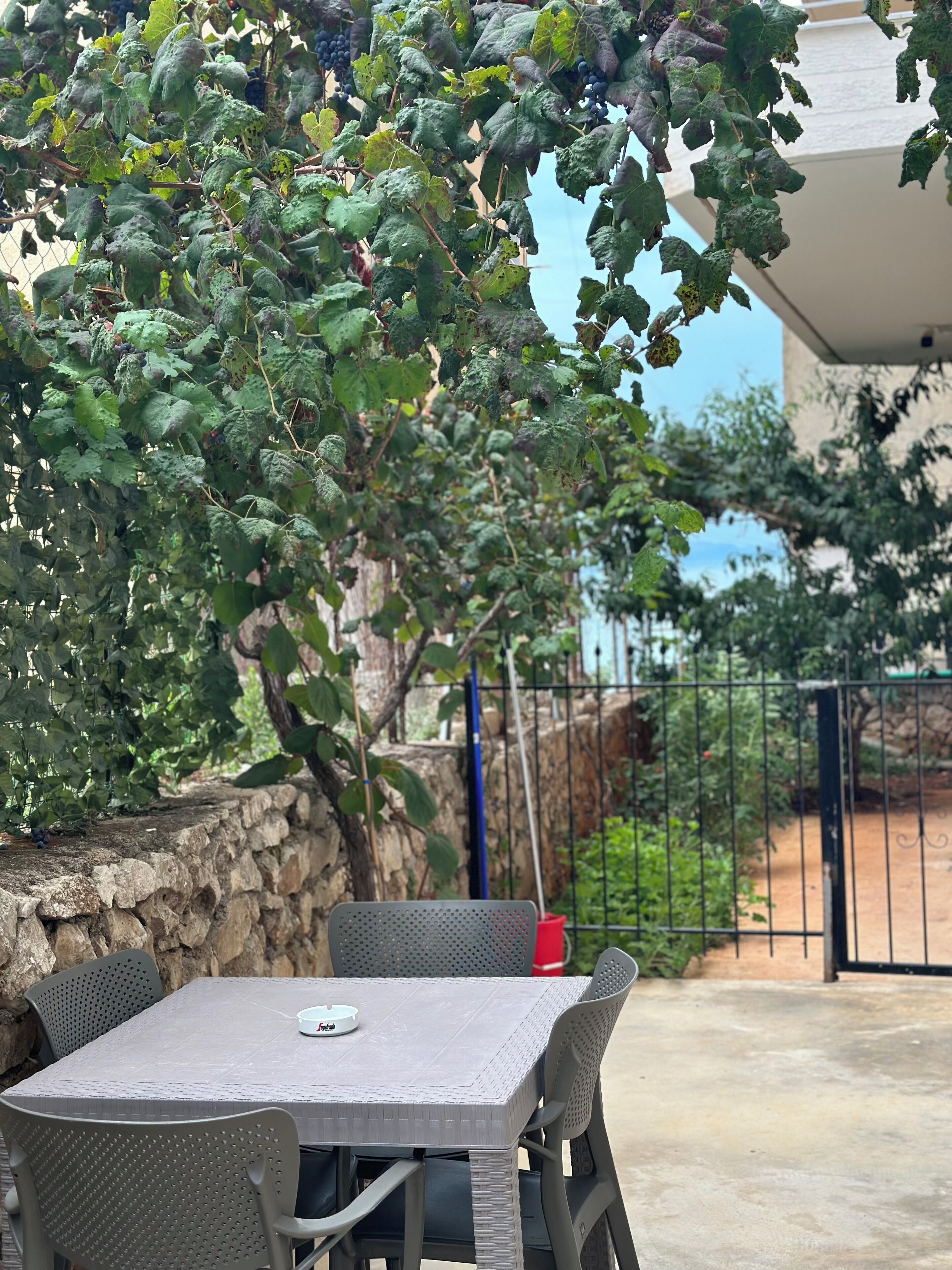 Dream Apartments Saranda