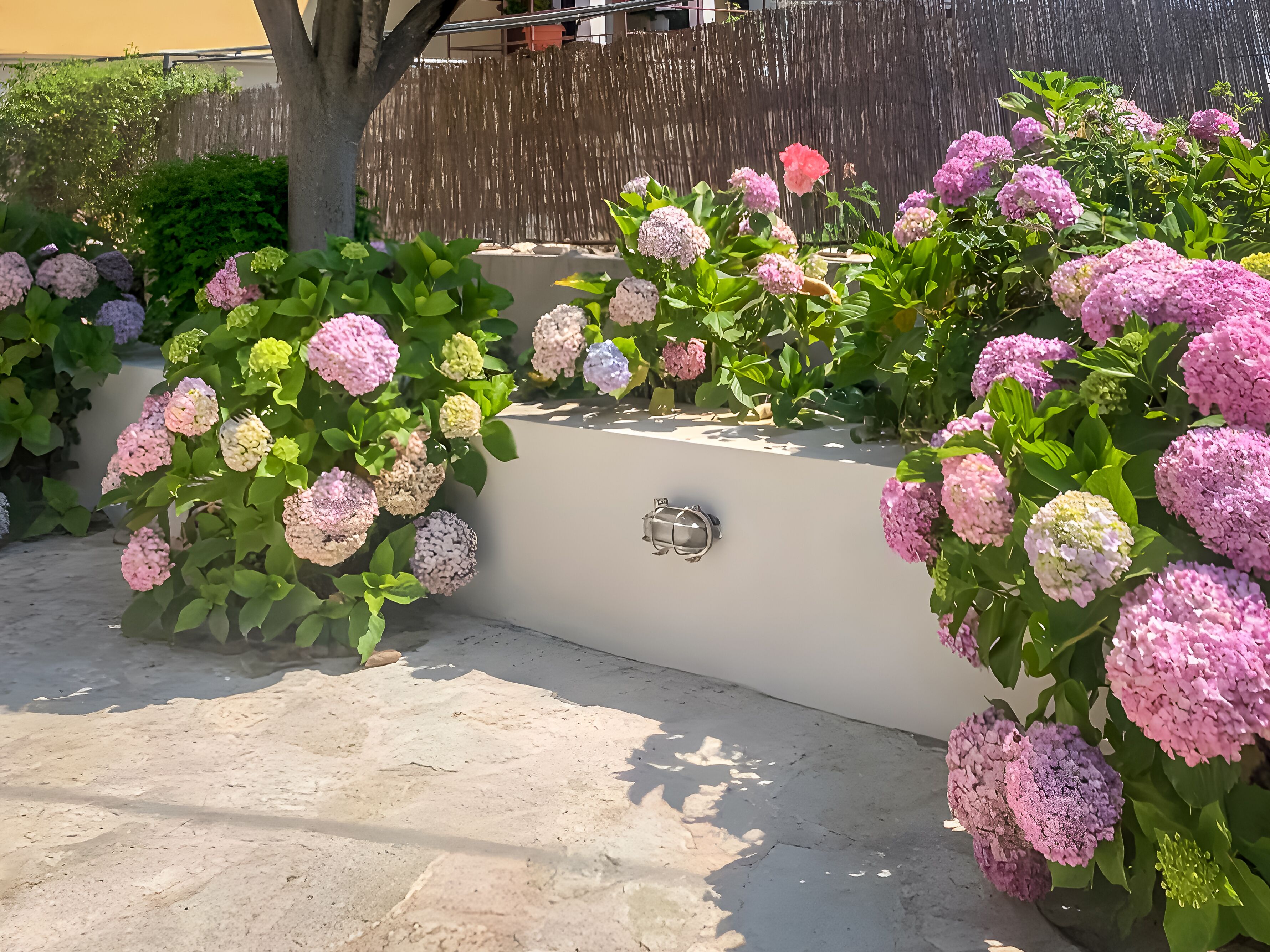 Hortensia House