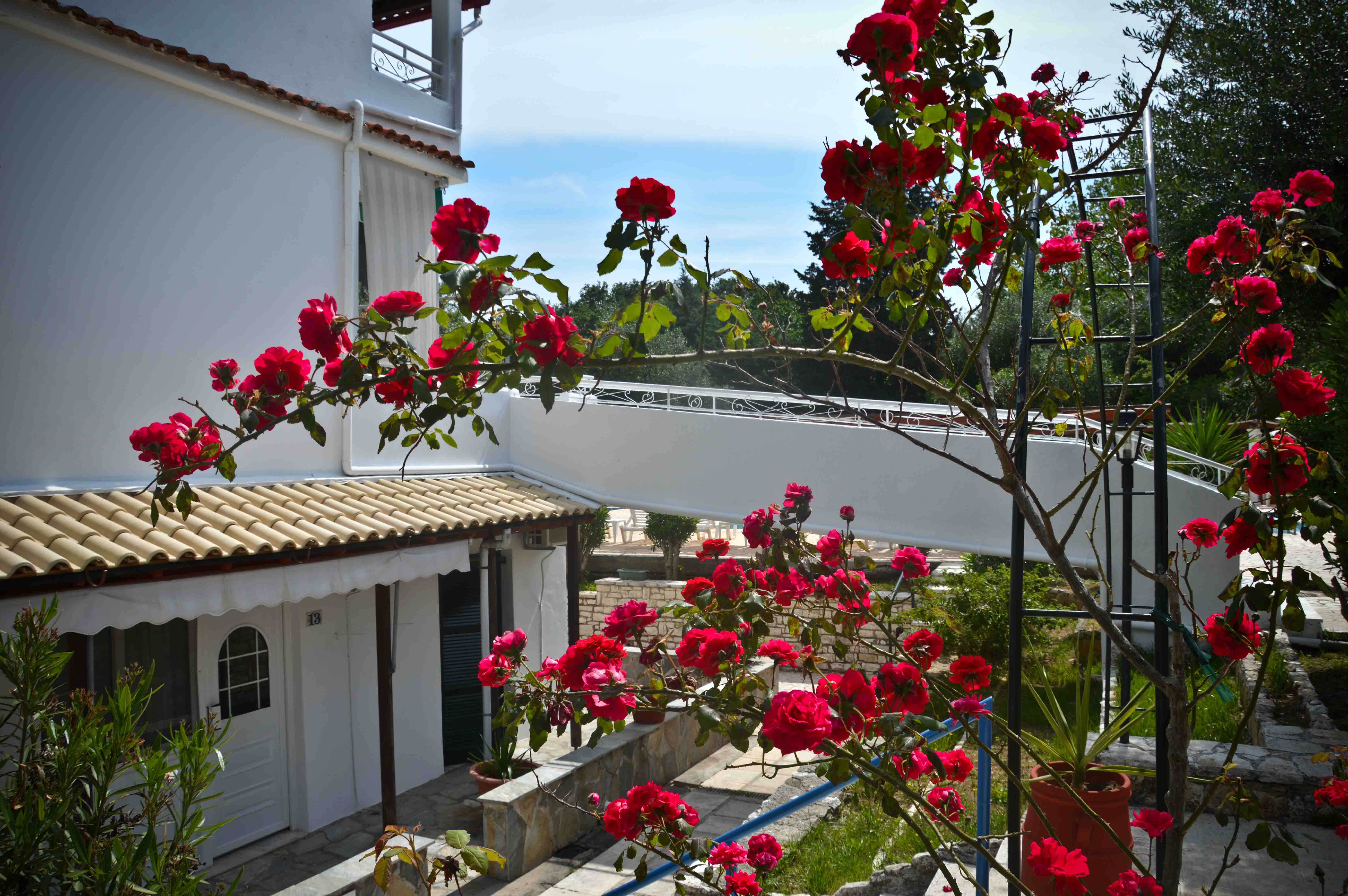 Katia Beach Hotel