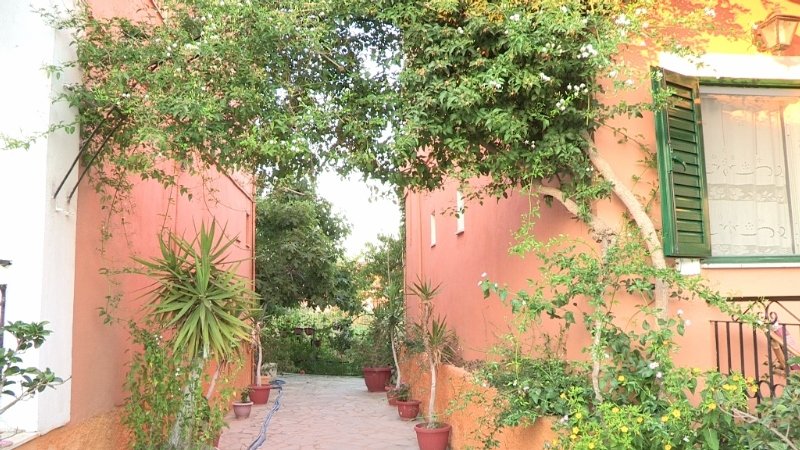 Kavos Scrivas Aparthments