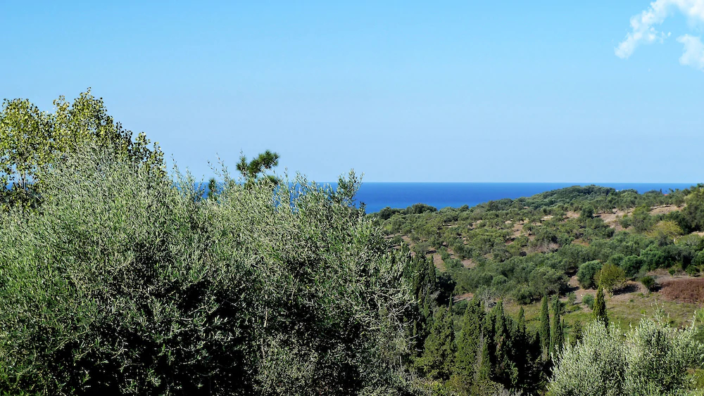Mastrogiannis Villa Levanta