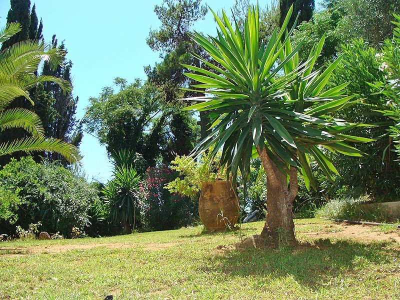 Alexandros & Gerekos Apartments