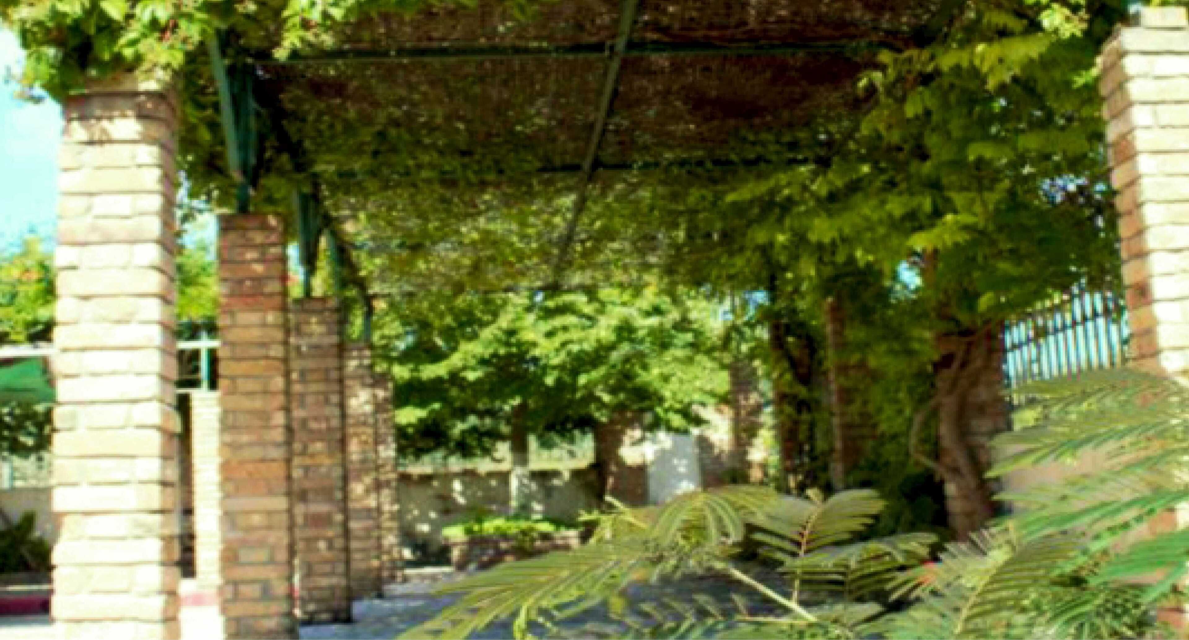 Anemomylos Lefkimmi Luxus Suites Hotel