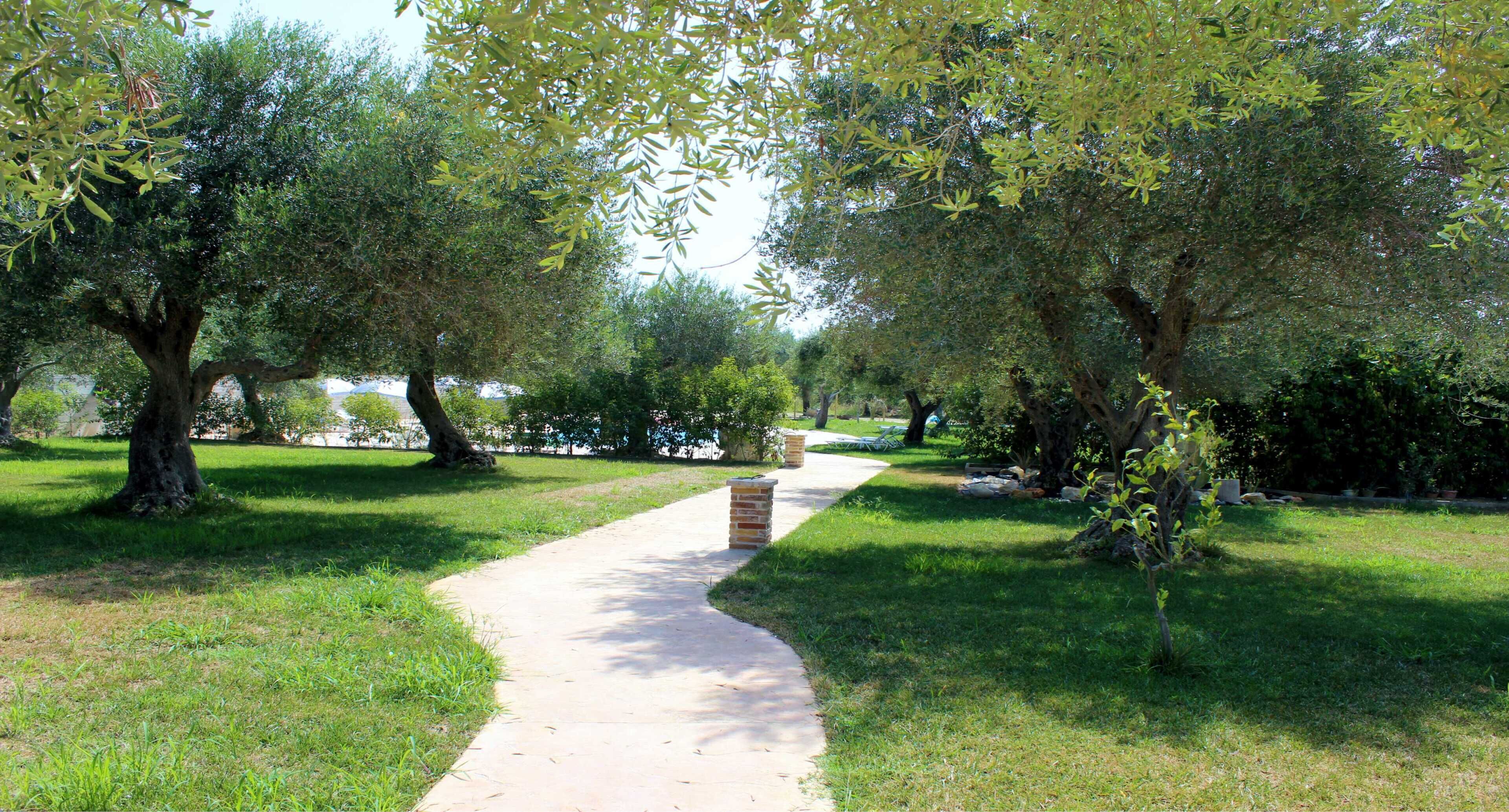 Anemomylos Lefkimmi Luxus Suites Hotel