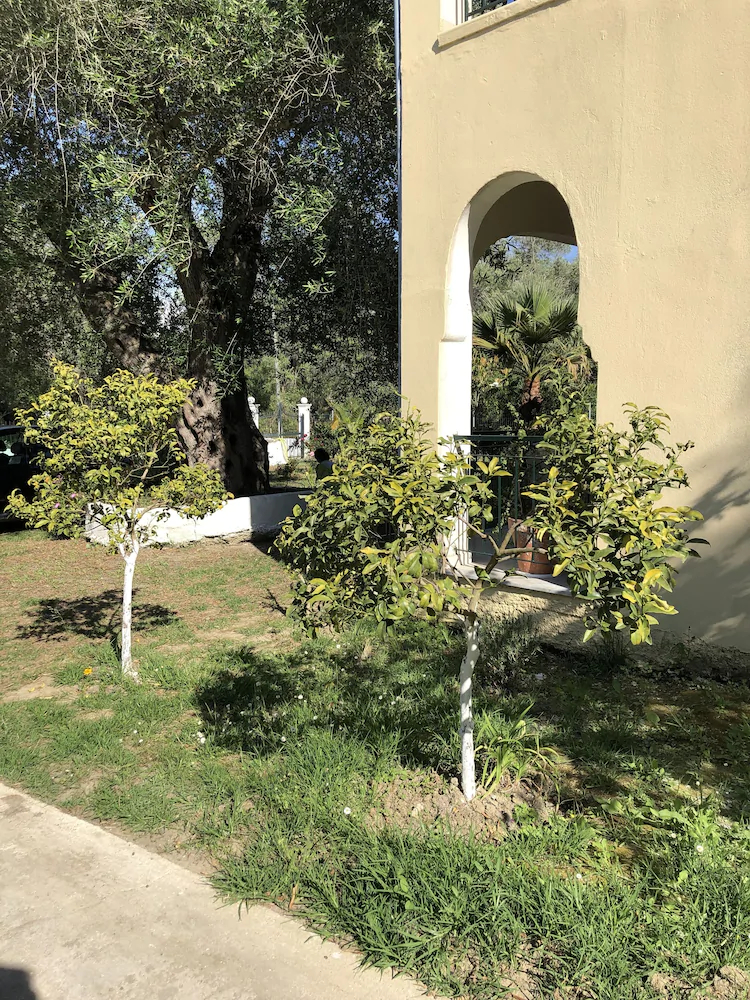 La Casa De Dalia