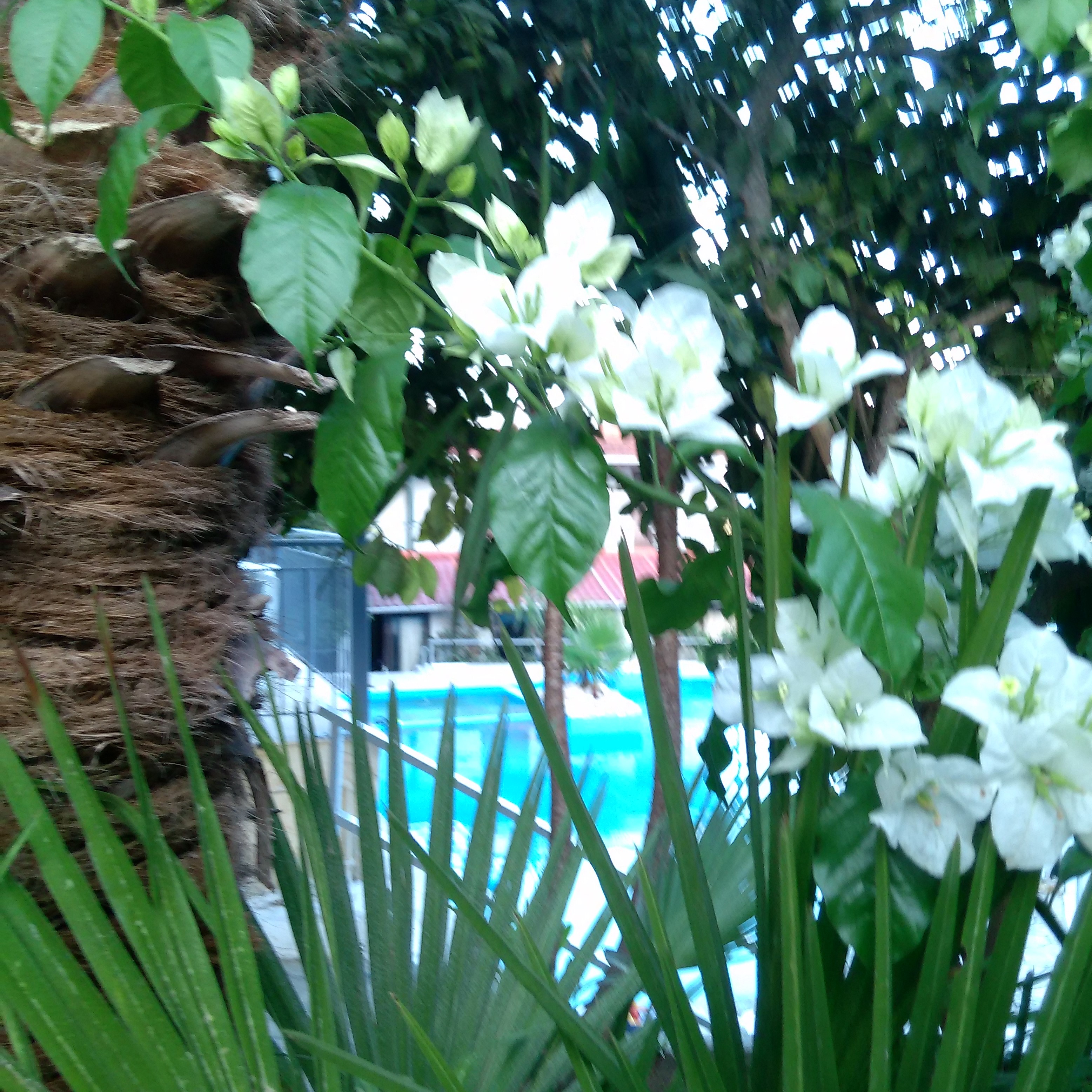 Aragorn Hotel