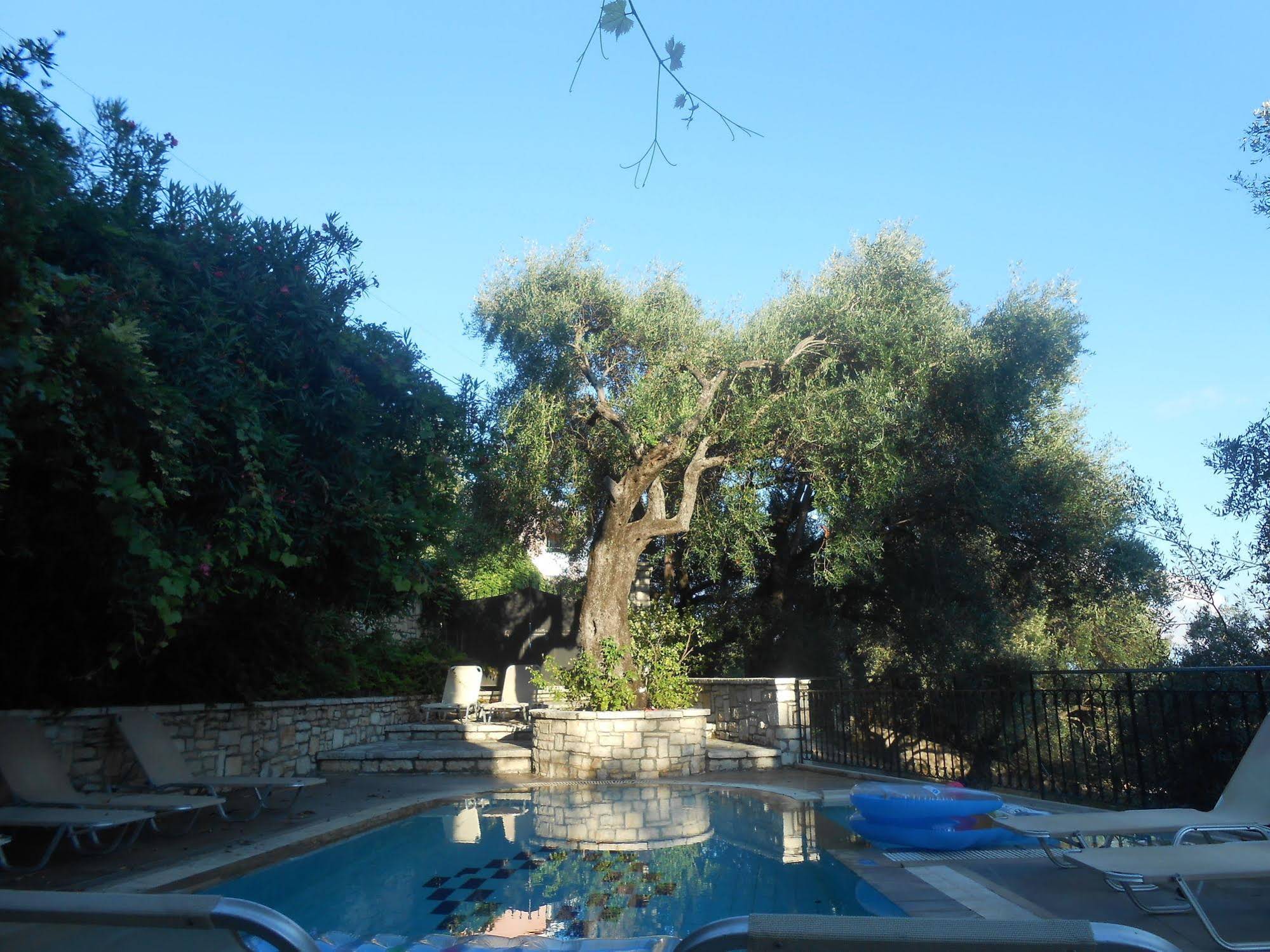 Aphrodite Apartments