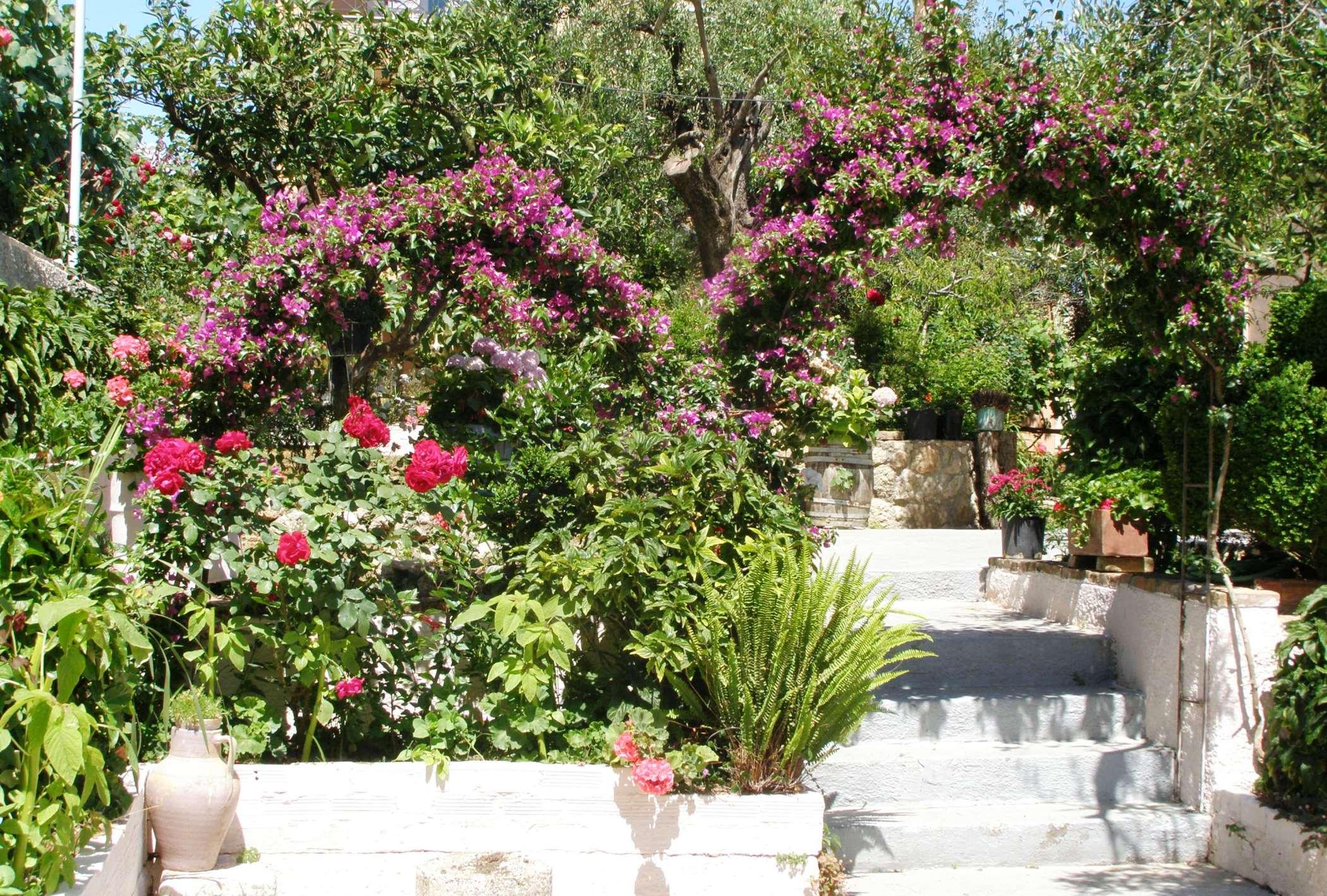 Apostolos & Eleni Family Apartments