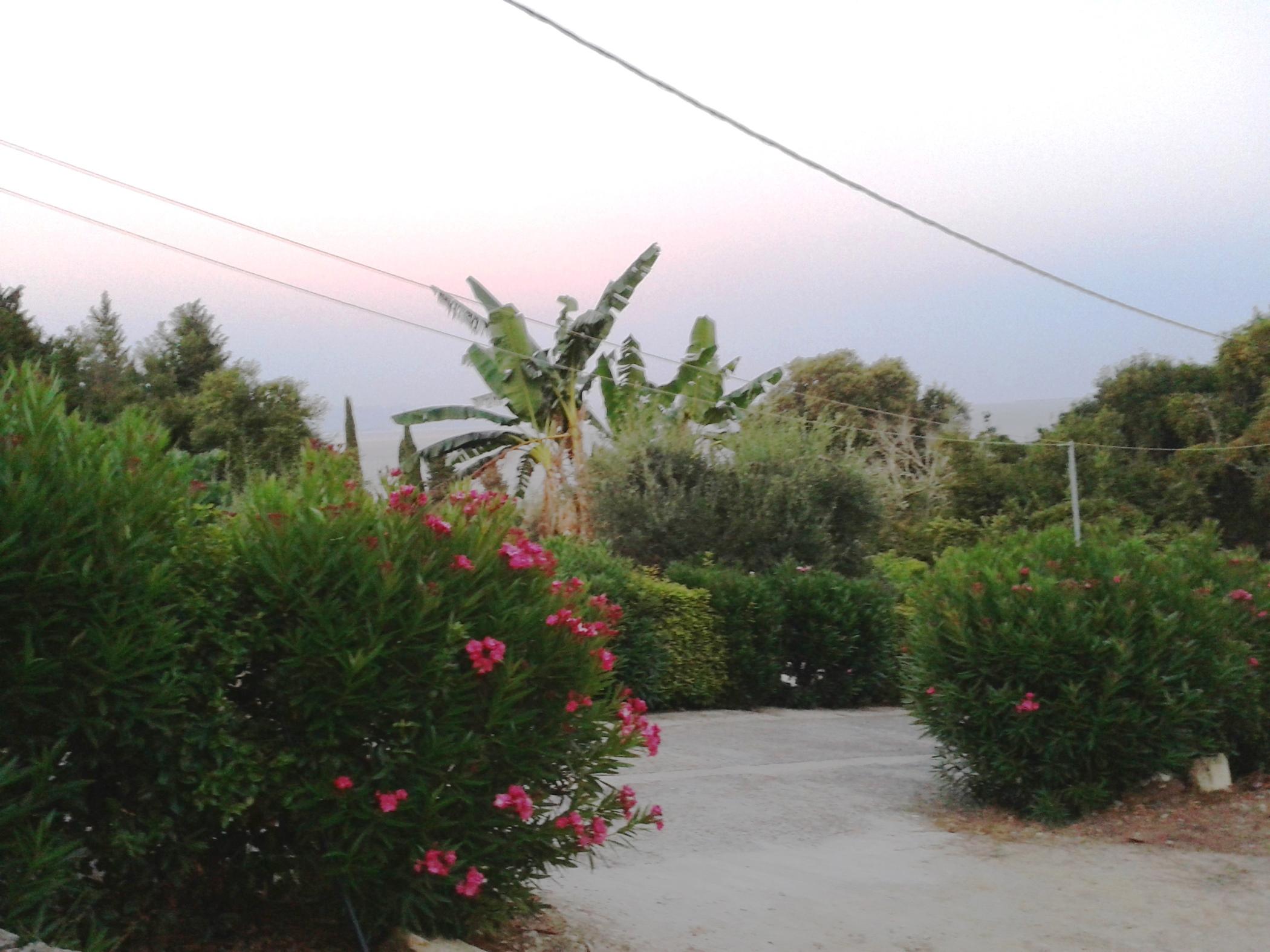 Apostolos & Eleni Family Apartments