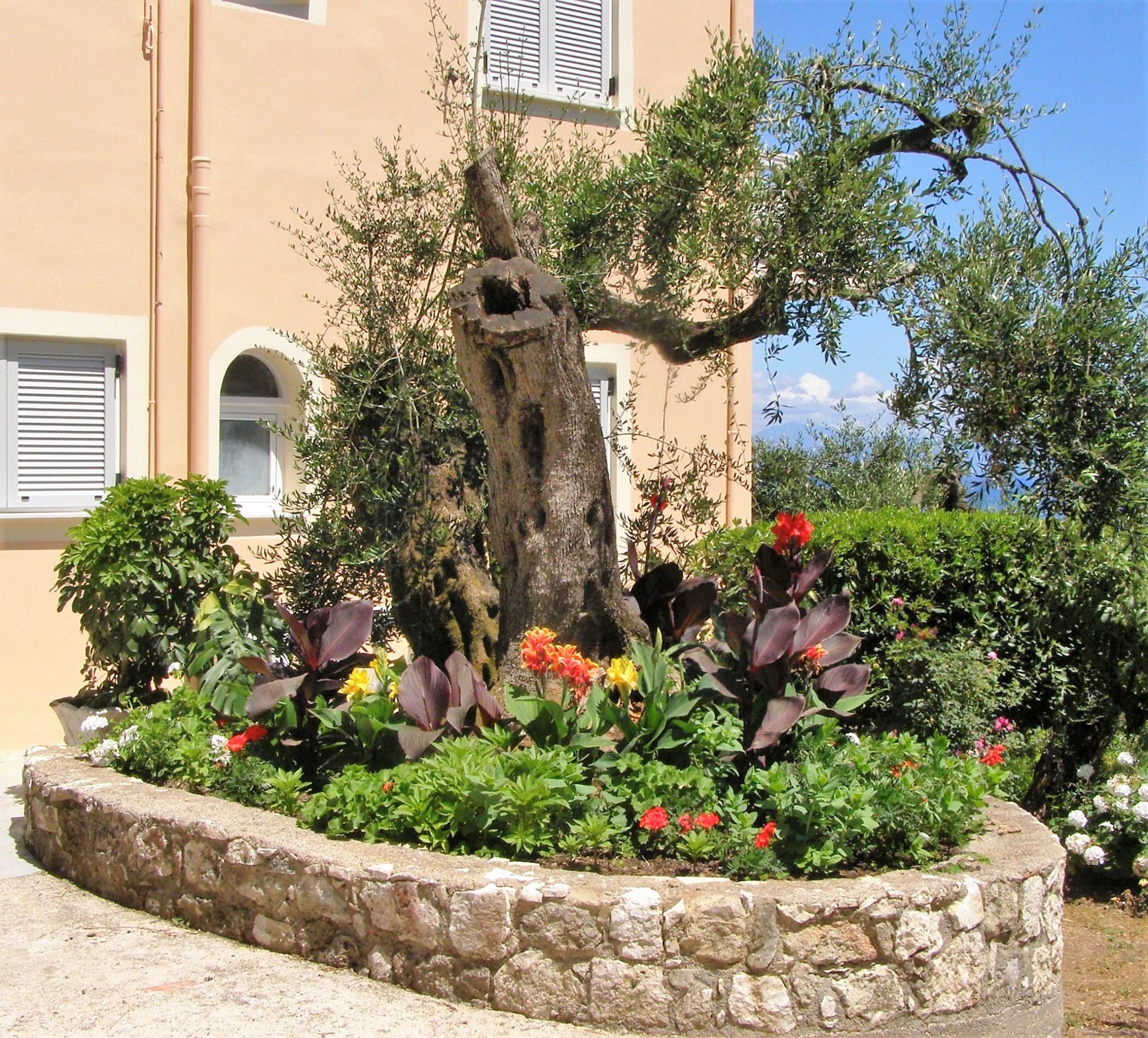 Apostolos & Eleni Family Apartments
