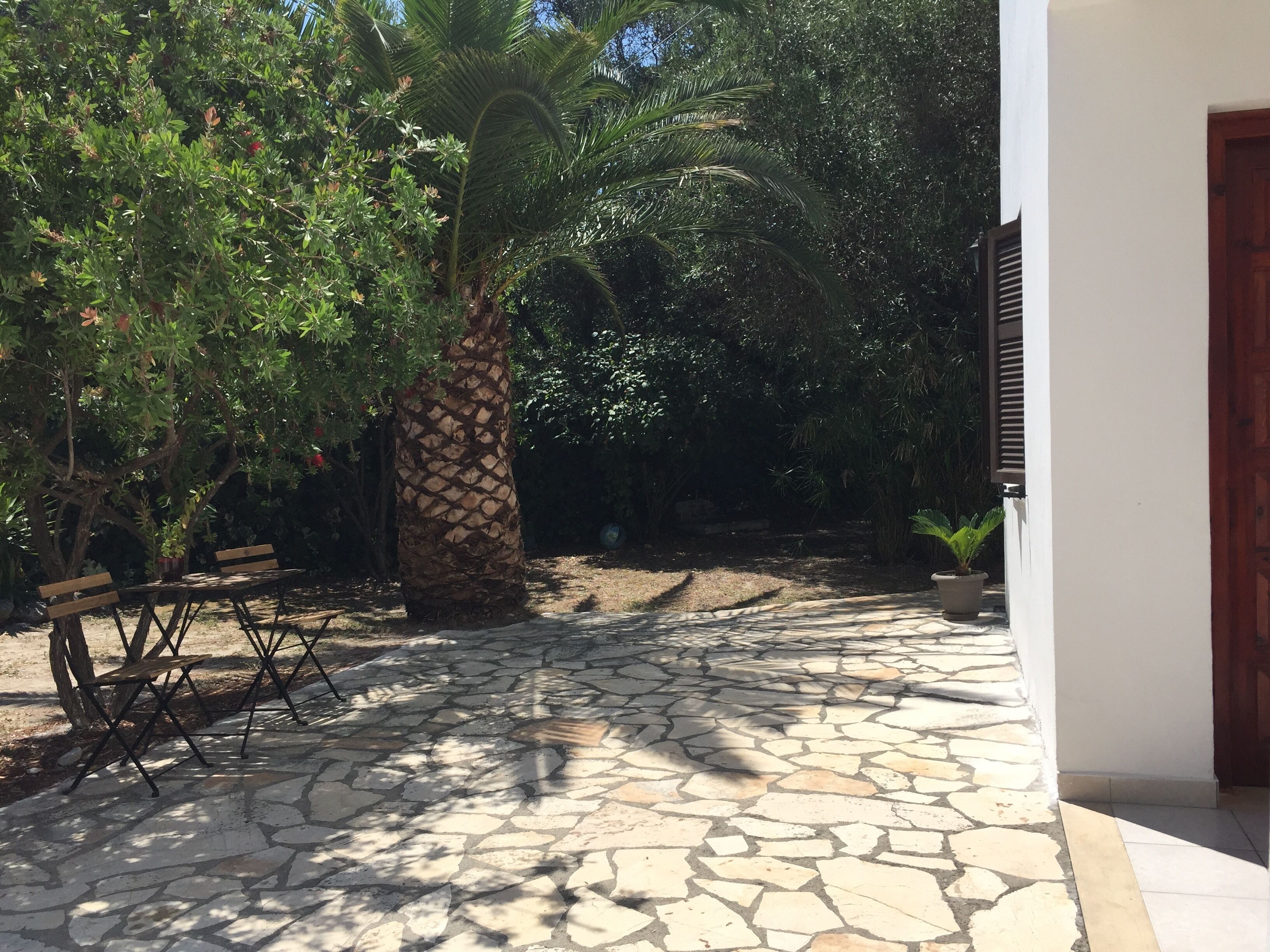 Alexander Apartments