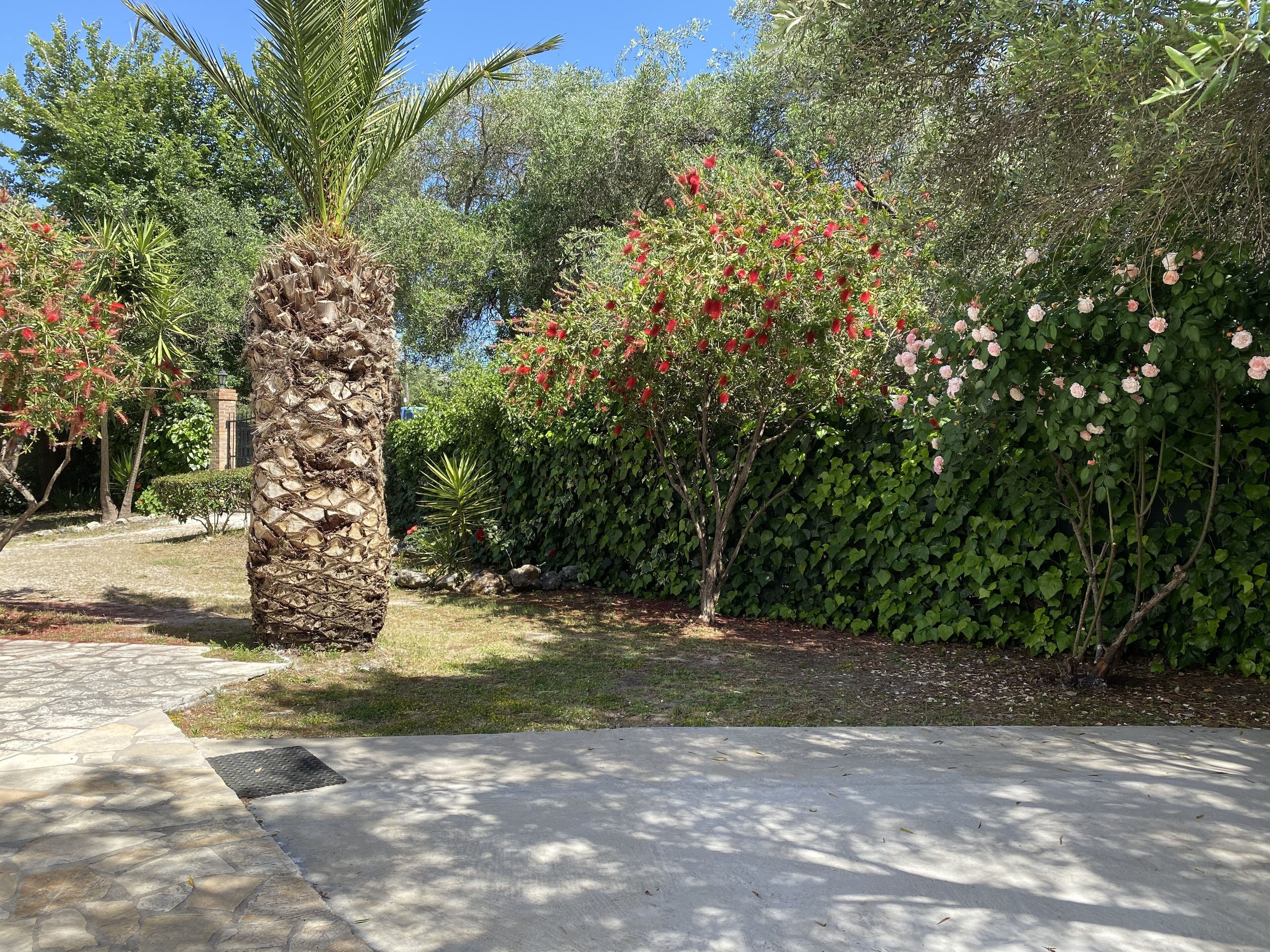 Alexander Apartments