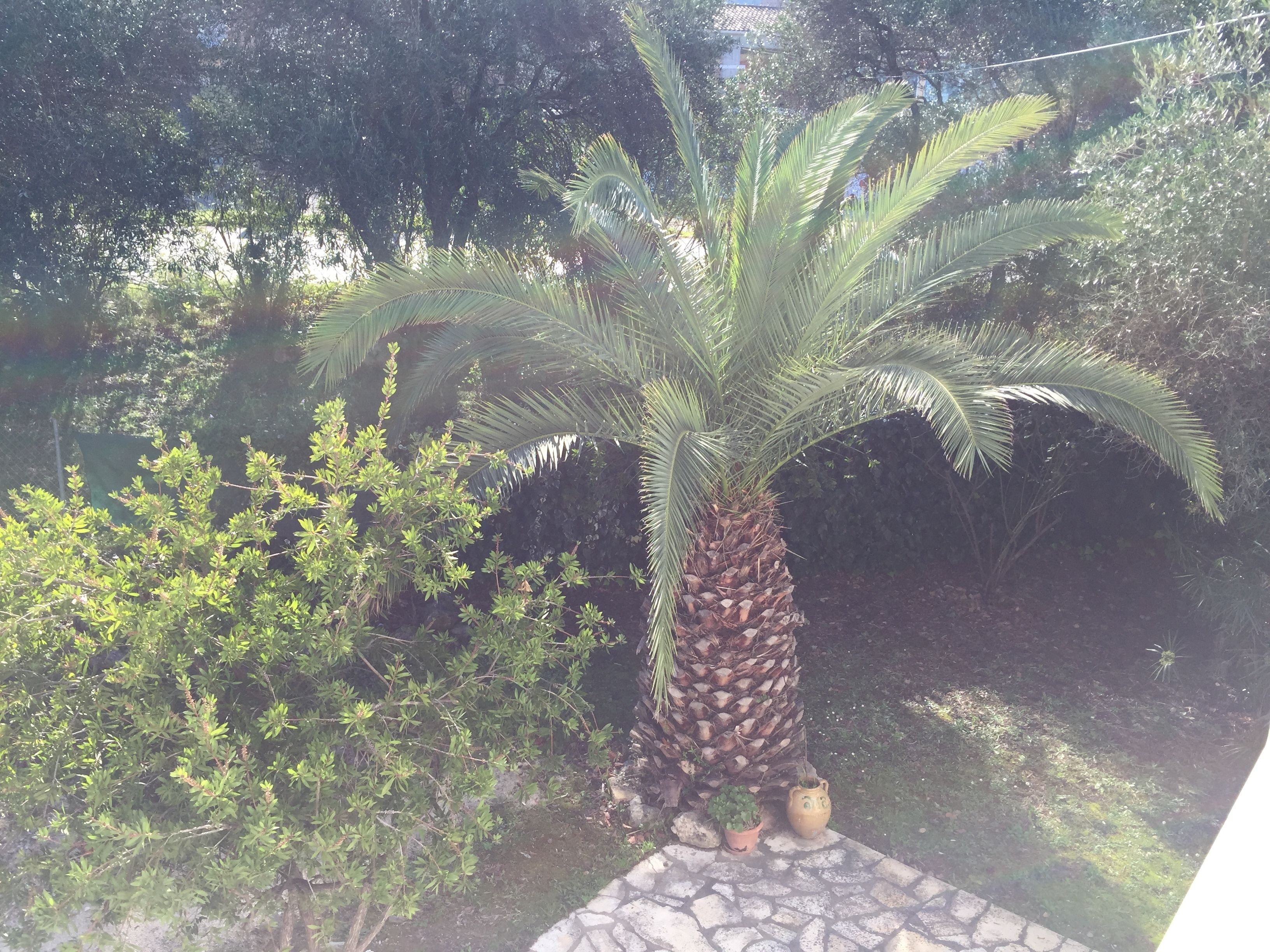 Alexander Apartments