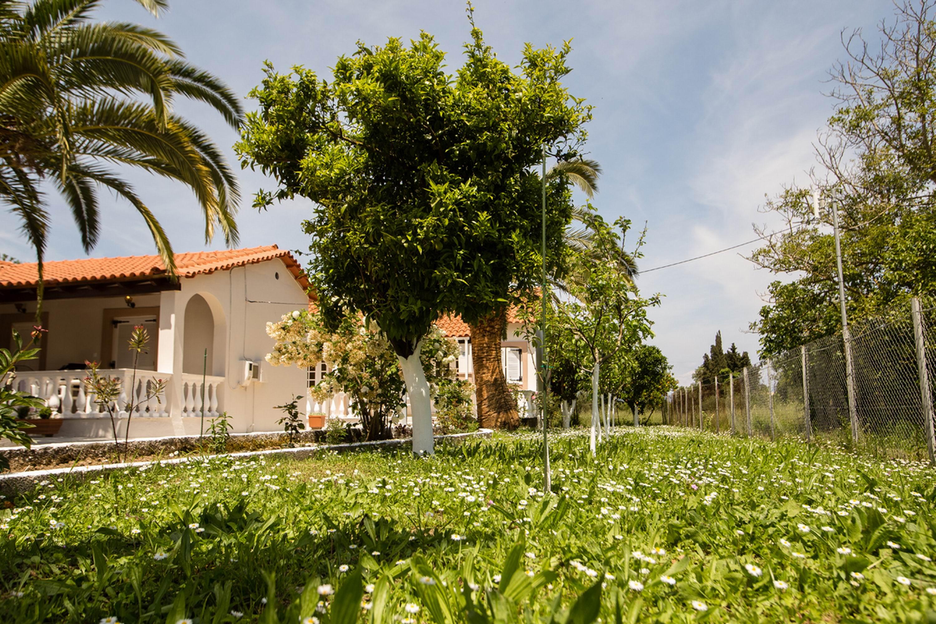Paradise Village