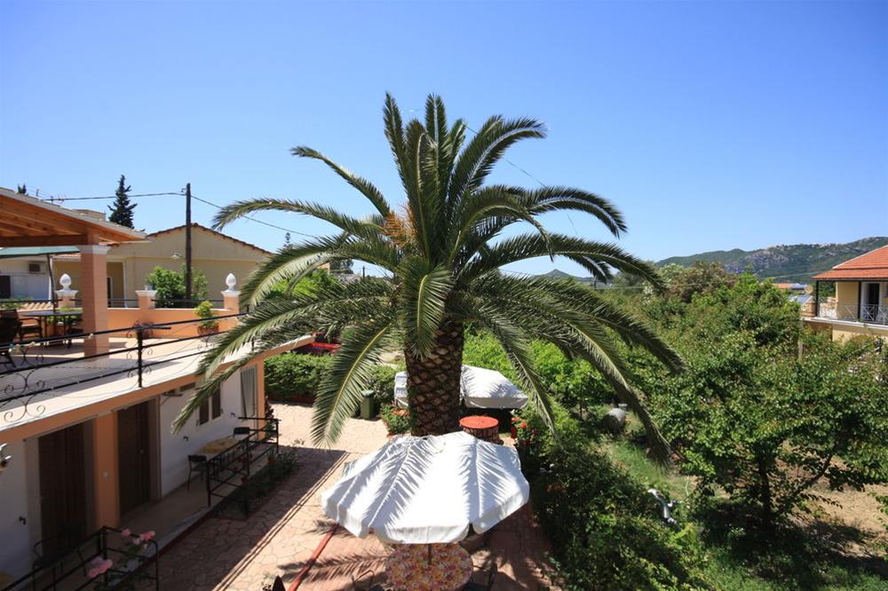 Kostas' Garden