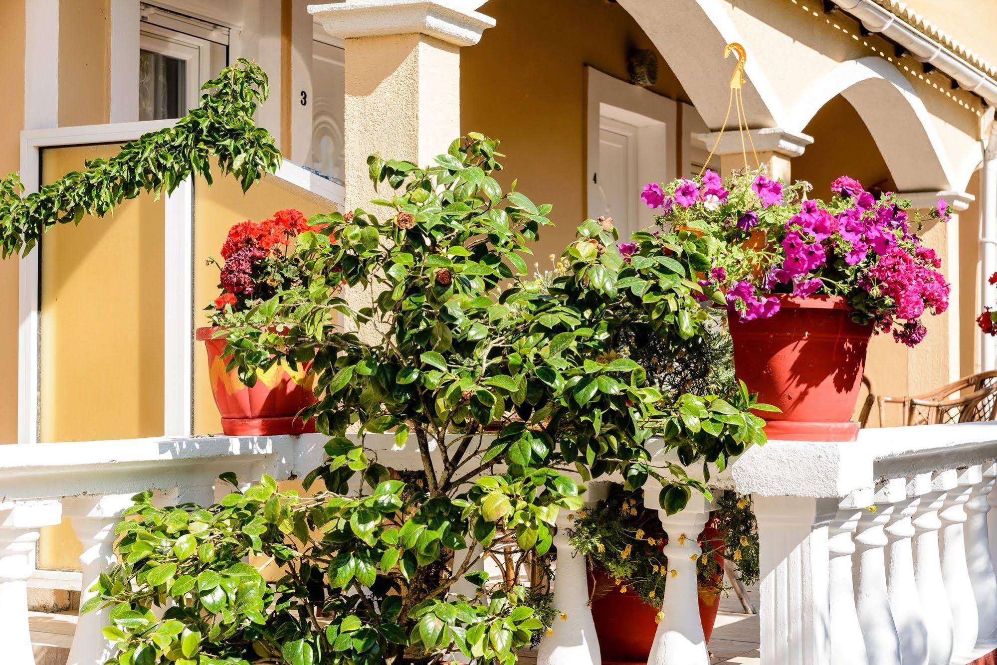 Eleni Family Apartments