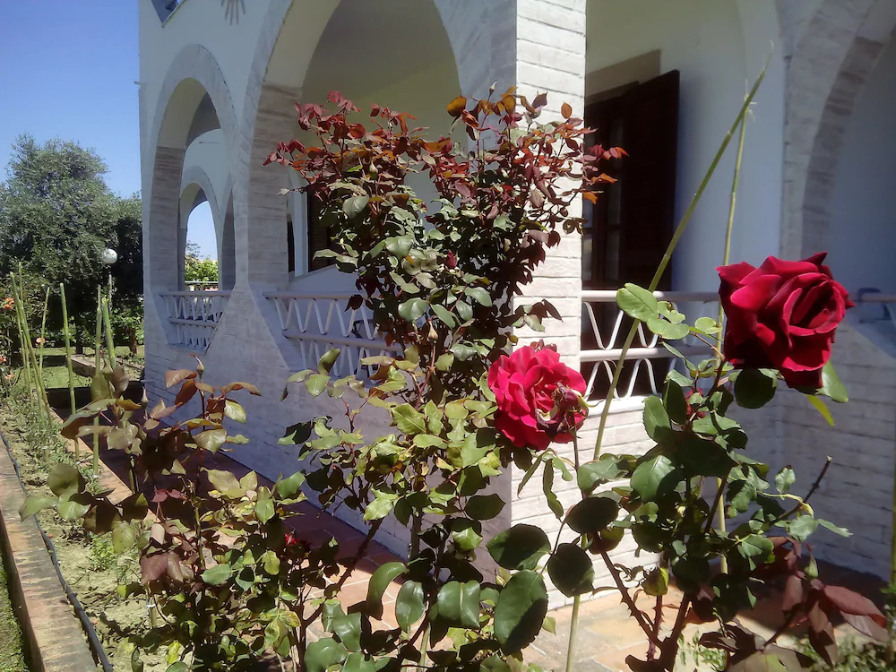 Villa Del Sol Apartments