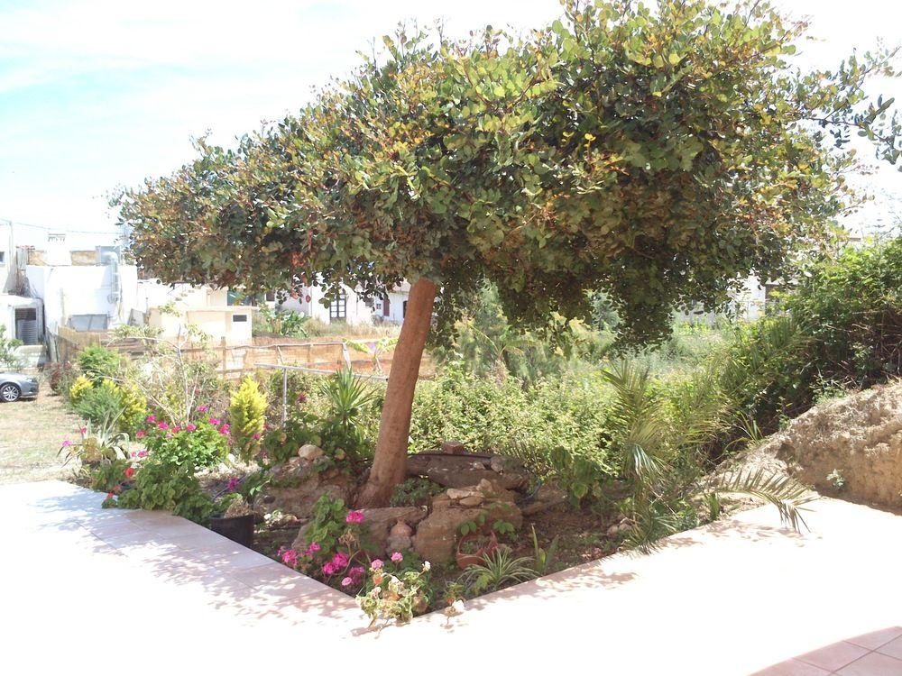 Apelia Hotel