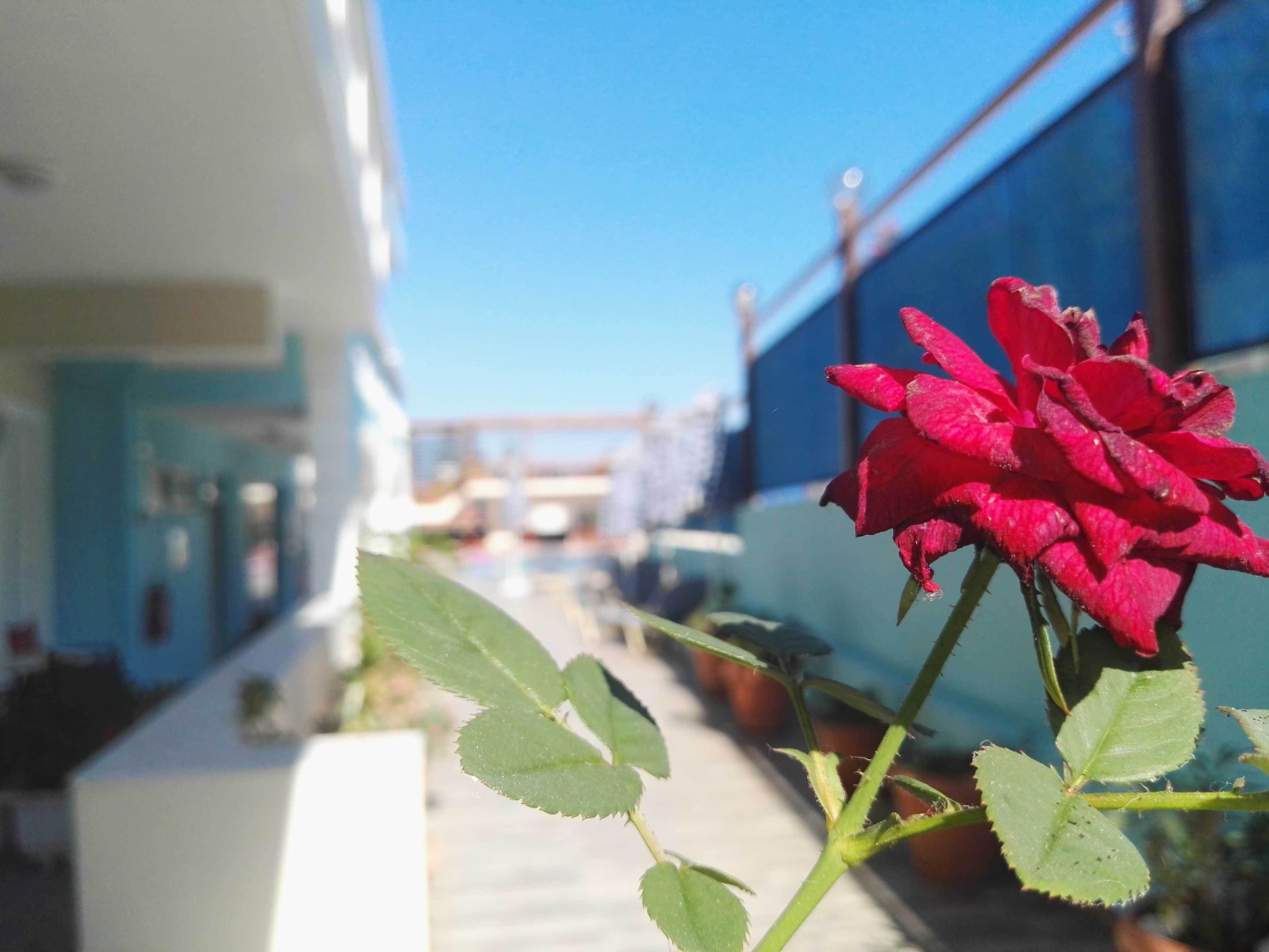 Epis Hotel