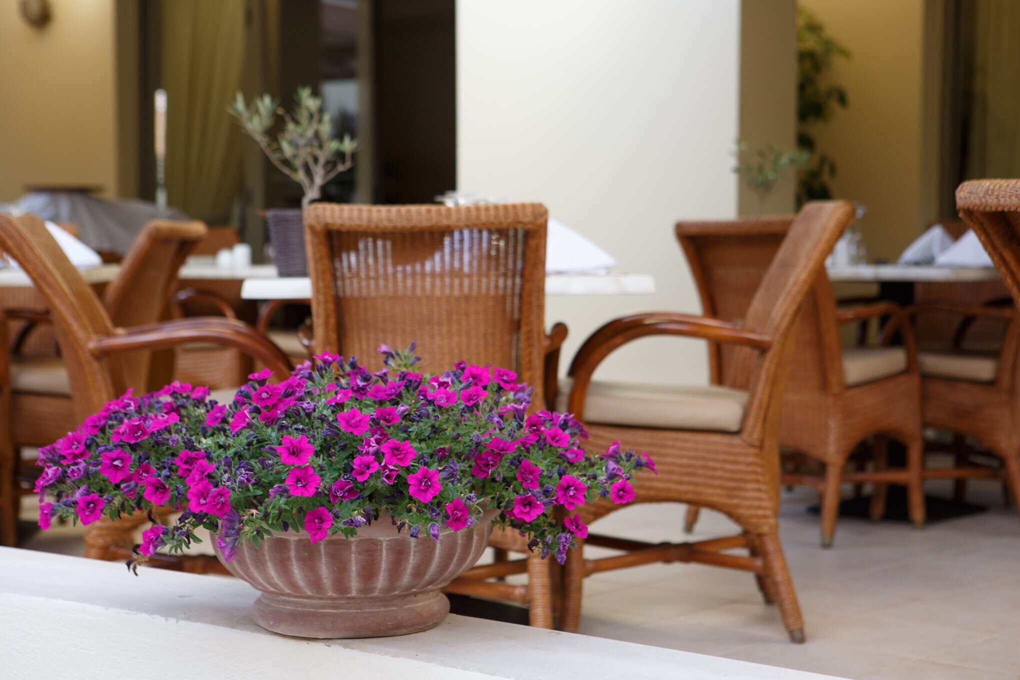 Giannoulis Santa Marina Plaza