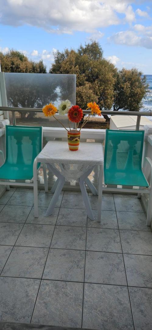 Papidakis Studios