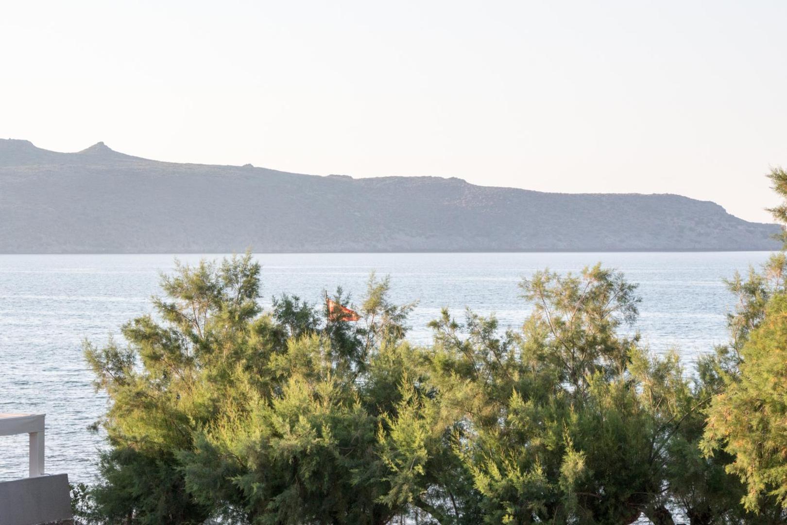 Papidakis Studios