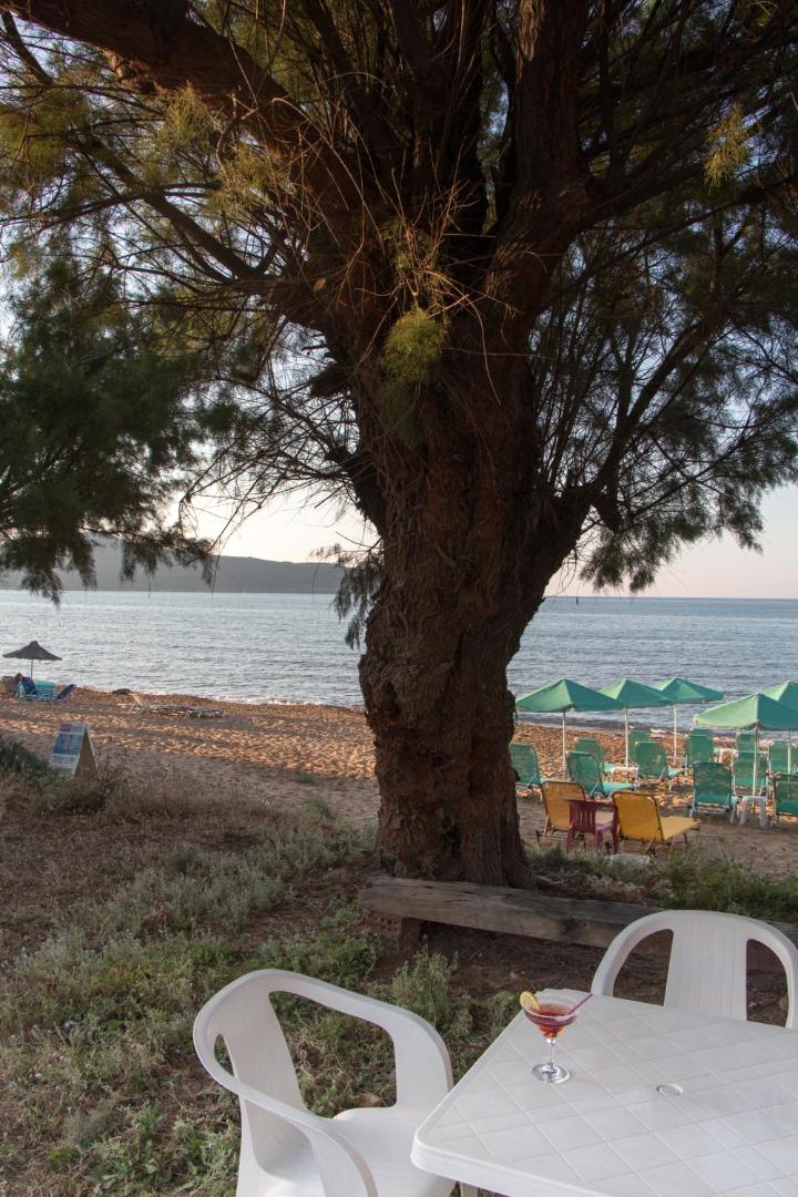 Papidakis Studios