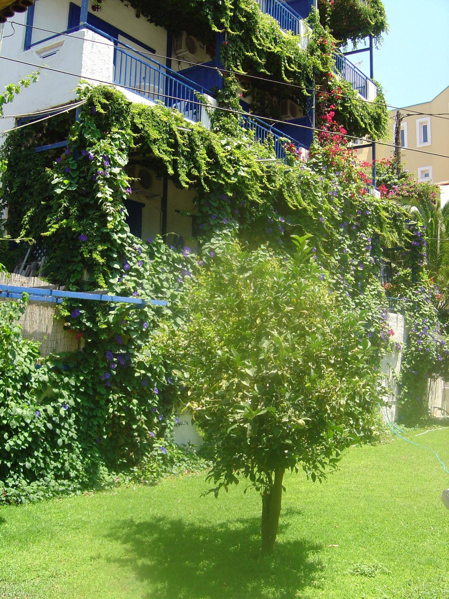 Amazona Apartments