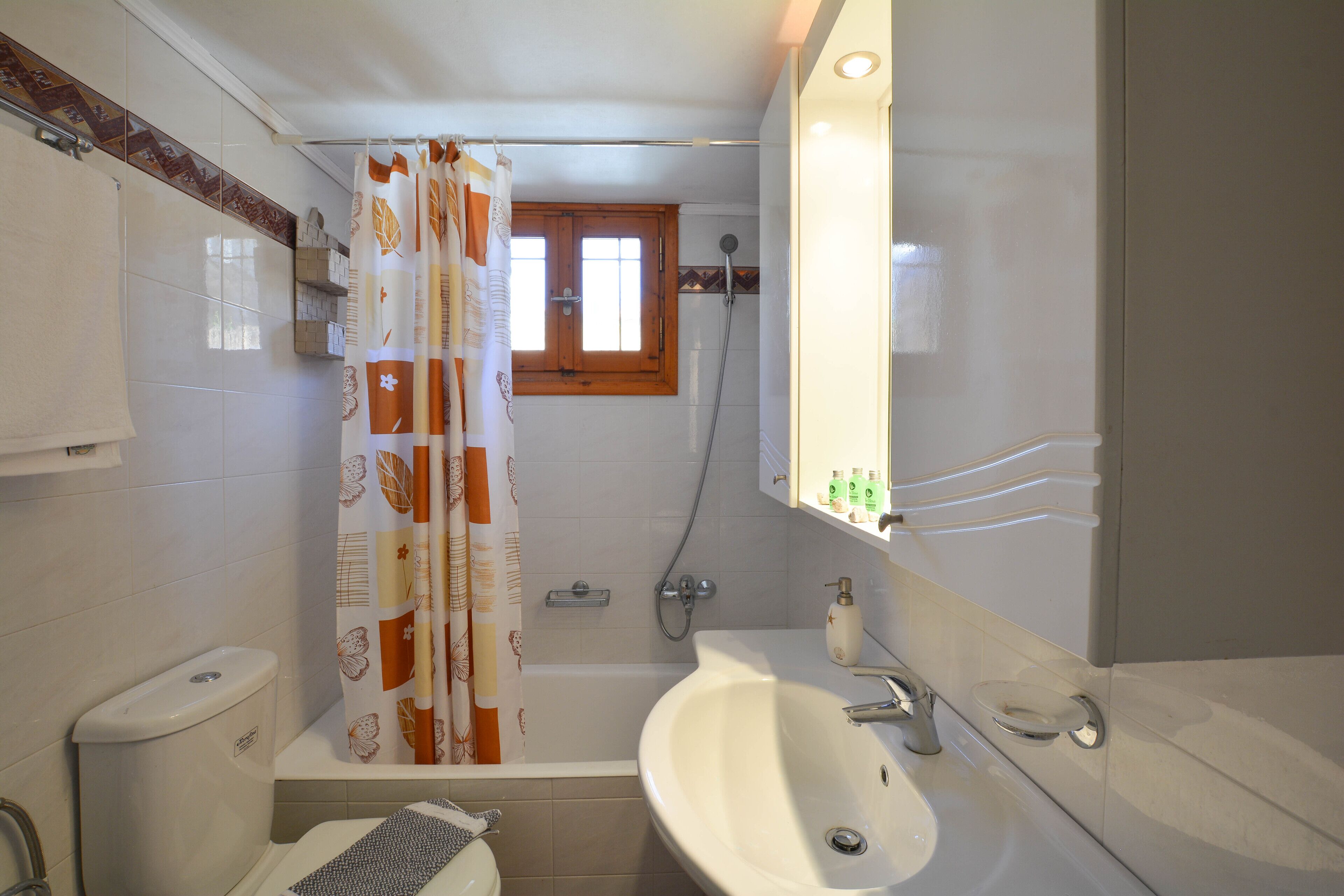 Oasis Apt – Agia Pelagia