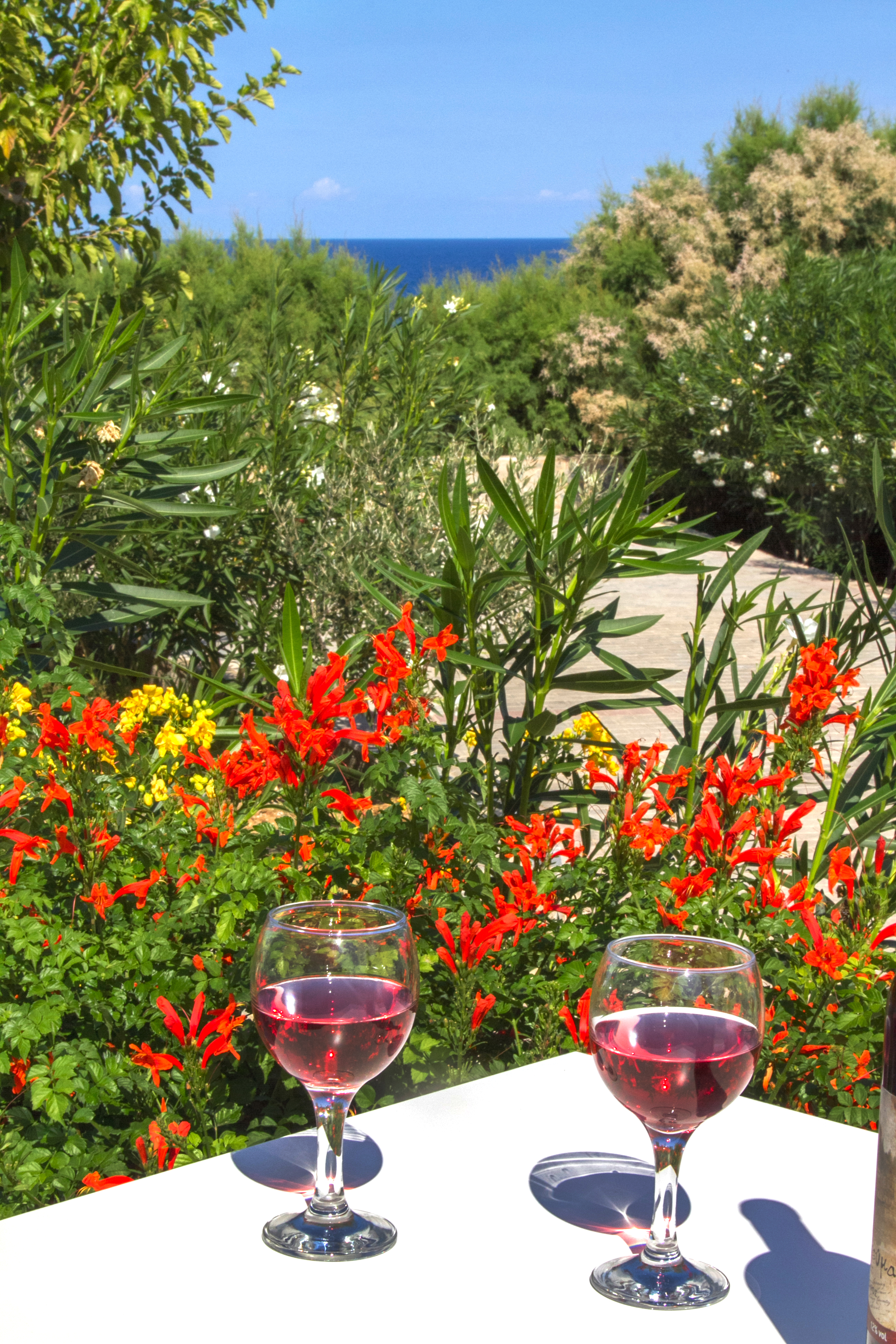 Peninsula Resort & Spa