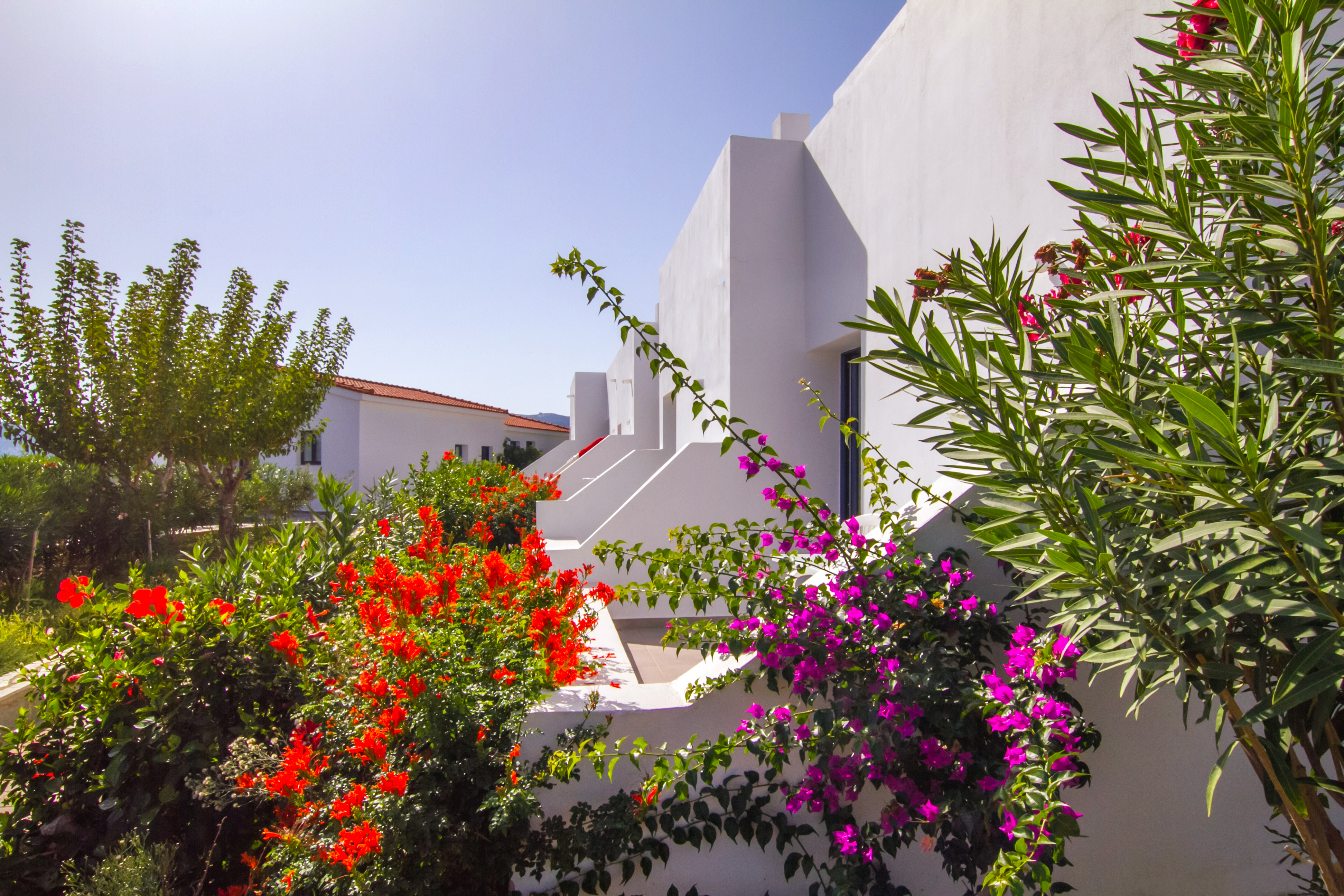 Peninsula Resort & Spa