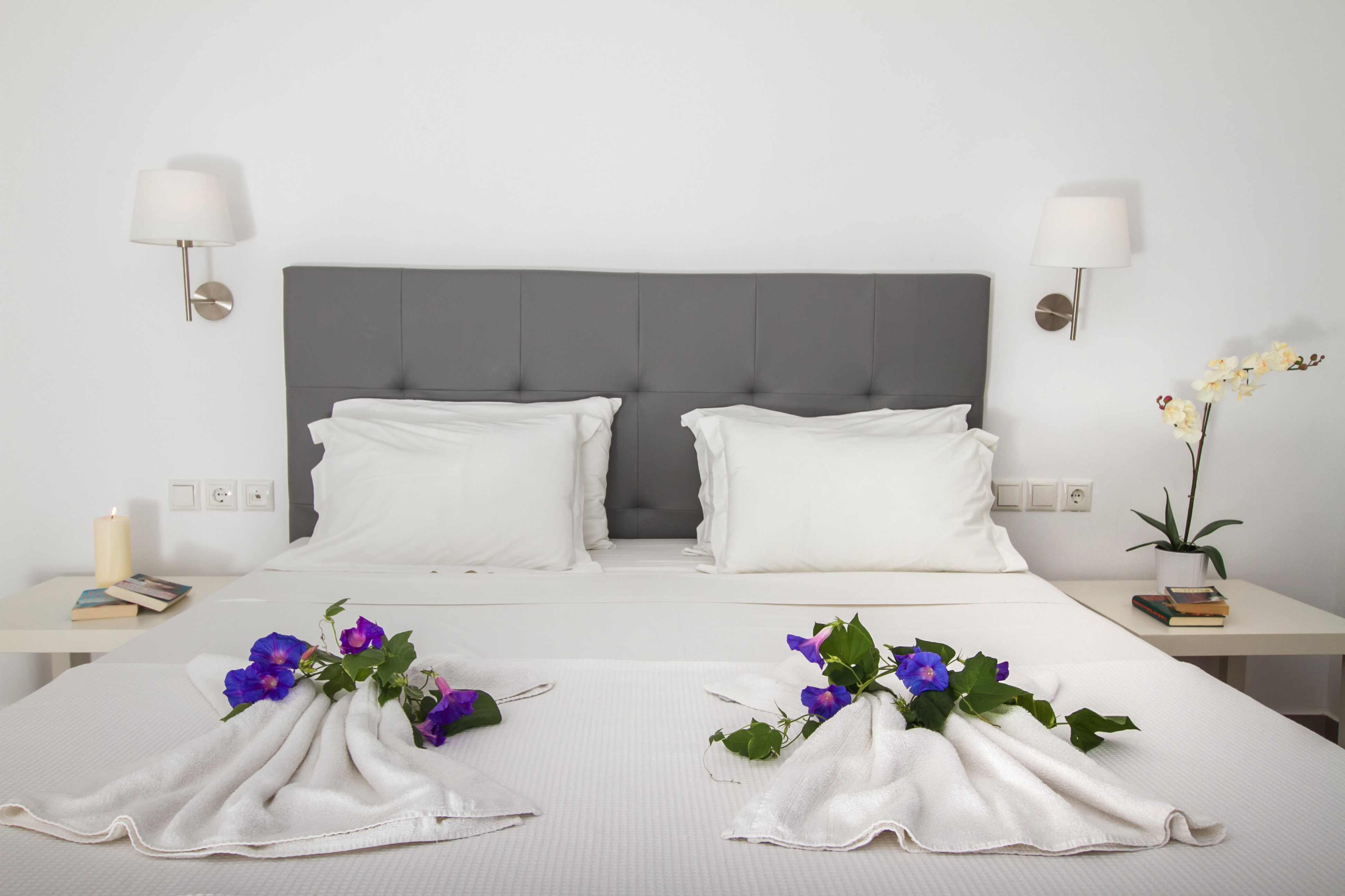 Peninsula Resort & Spa