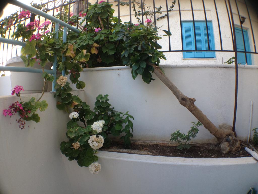 Renia Hotel