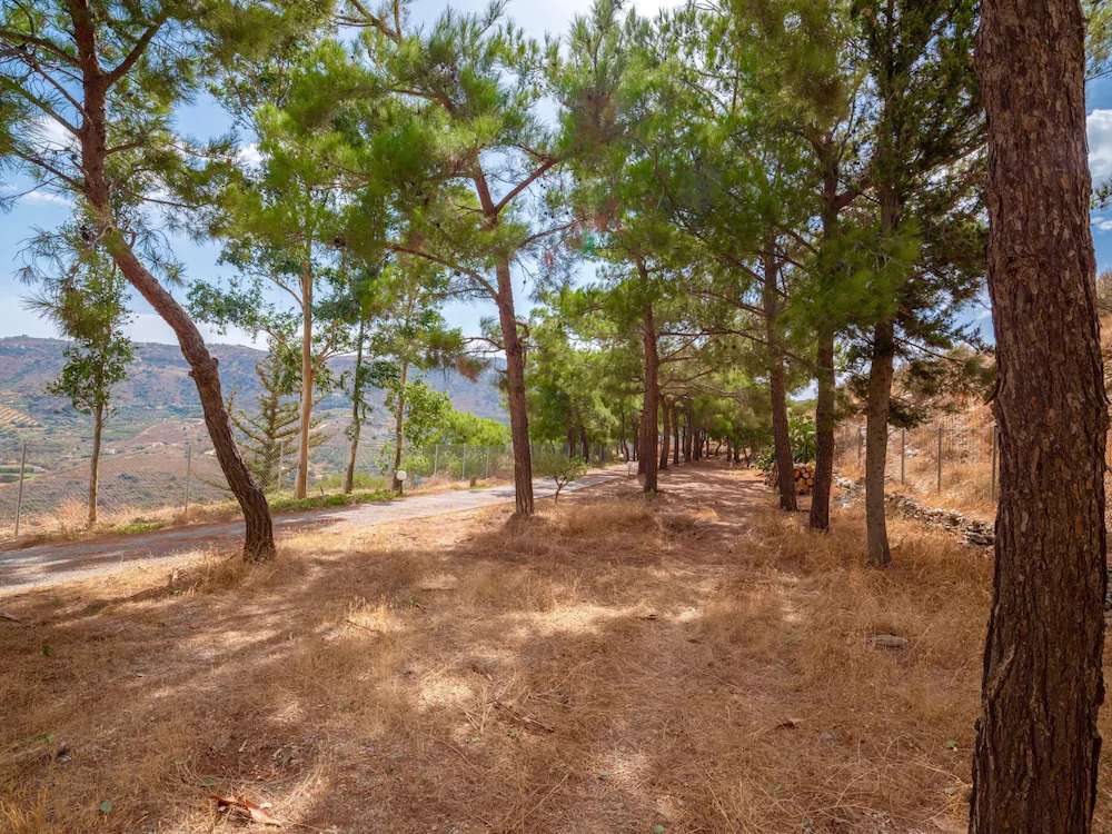 Villa Aura Pine