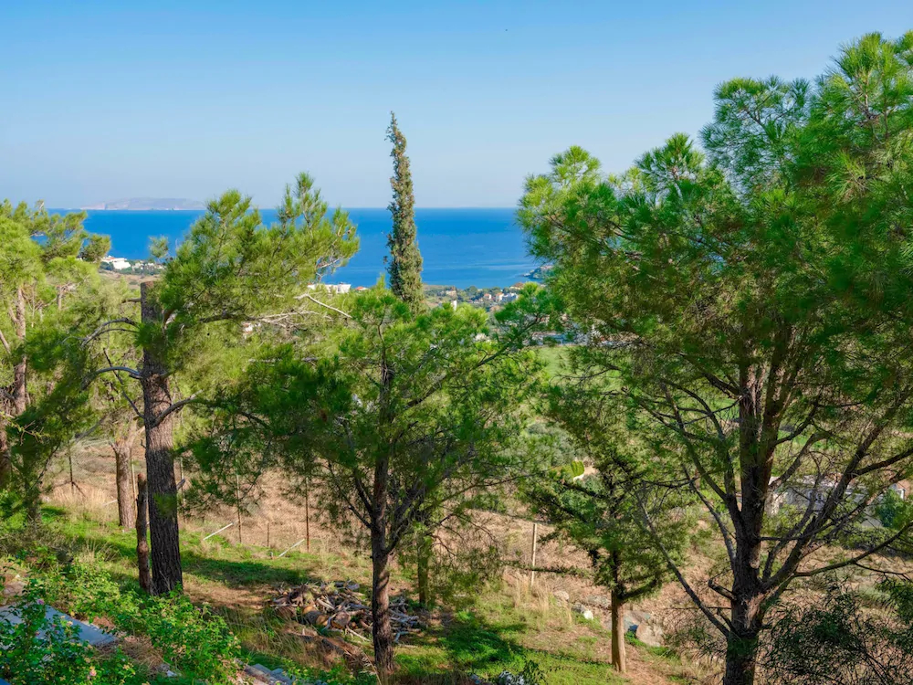 Villa Aura Pine