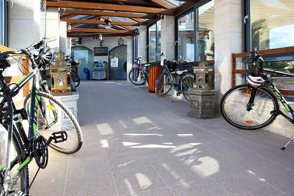 Alexander Amea Hotel