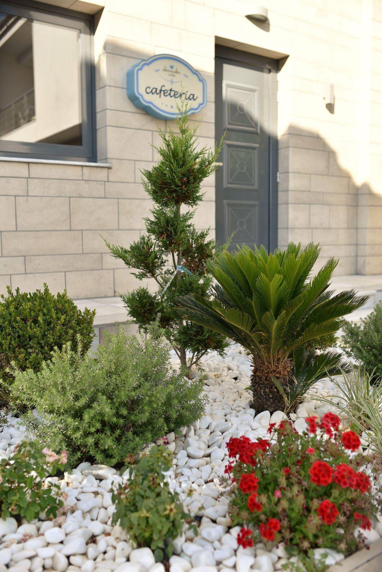 Alexander Suites