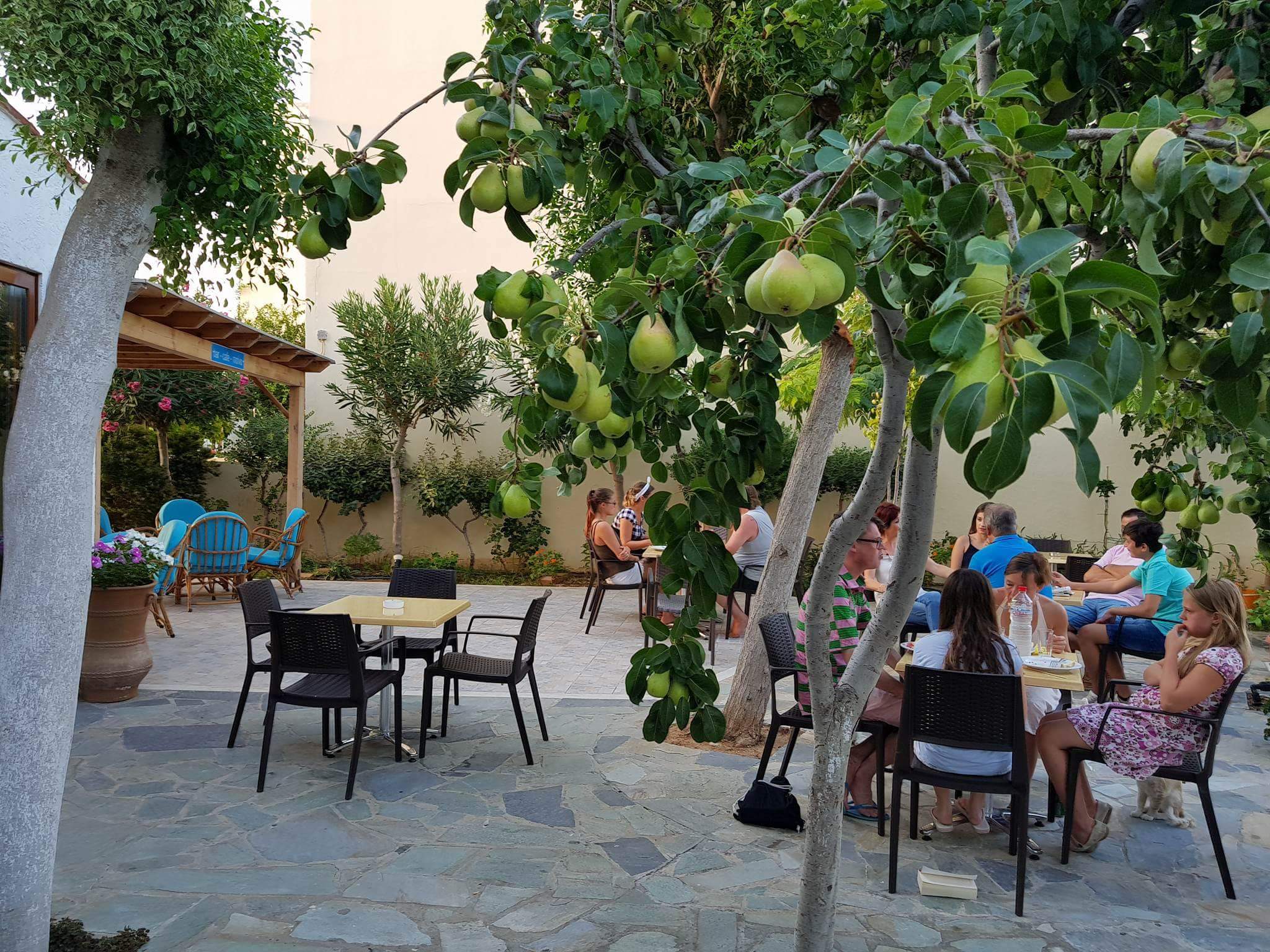 Arhodiko Hotel