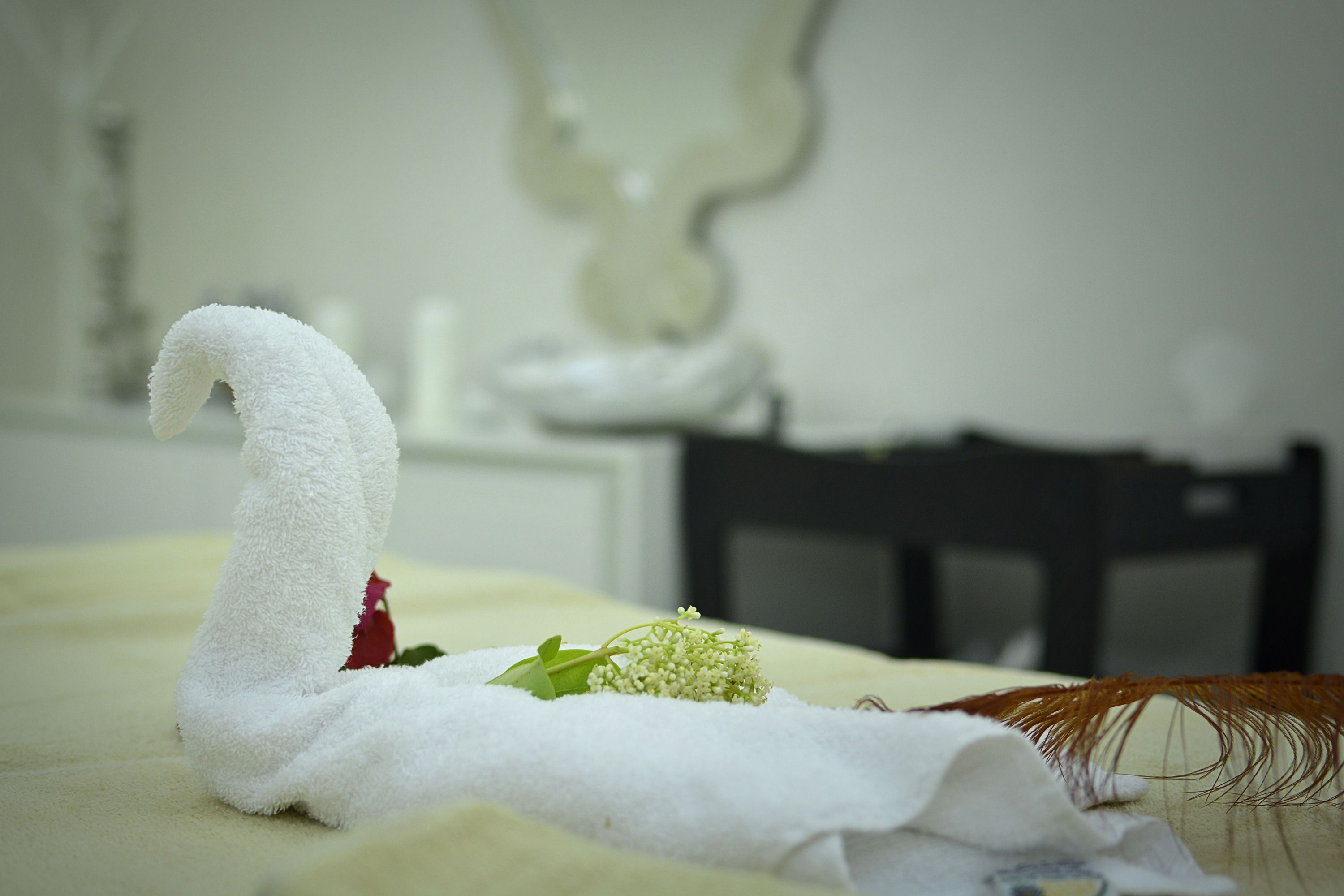 Insula Alba Sea Side Resort & Spa