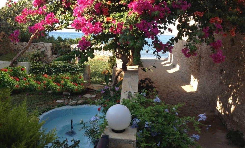 Asterias Studios Apartments