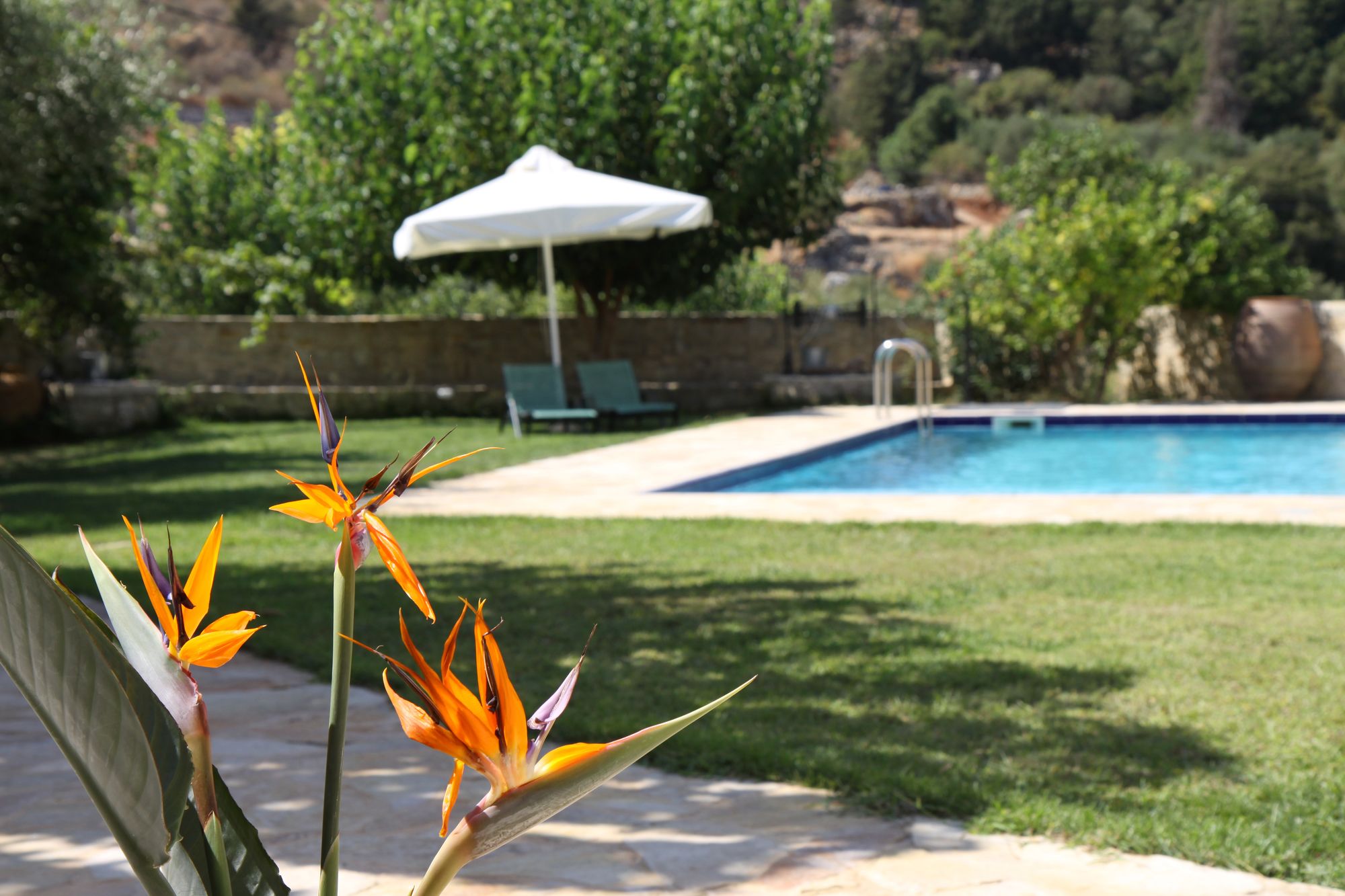Filippou Villa - Living in Nature