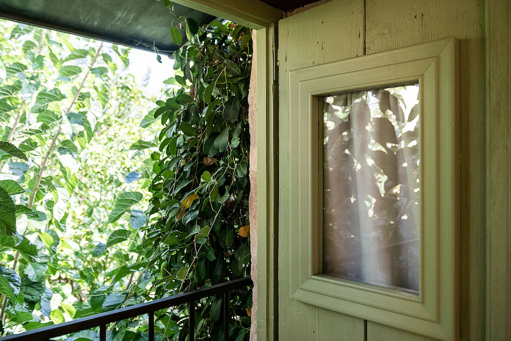 Lemon Tree Eco Retreat