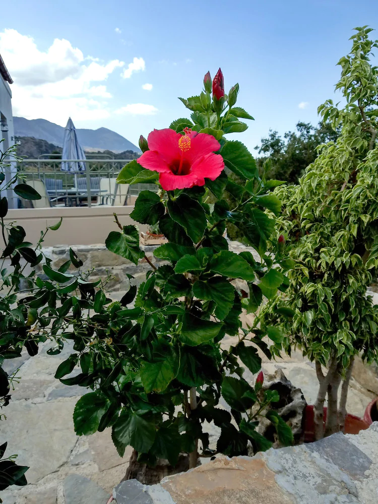 Villa Kastania