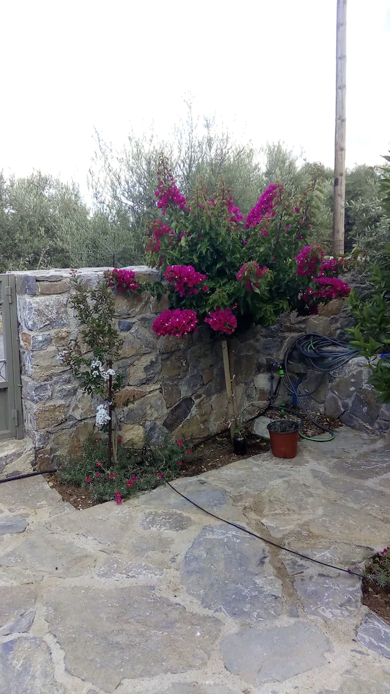 Villa Kastania