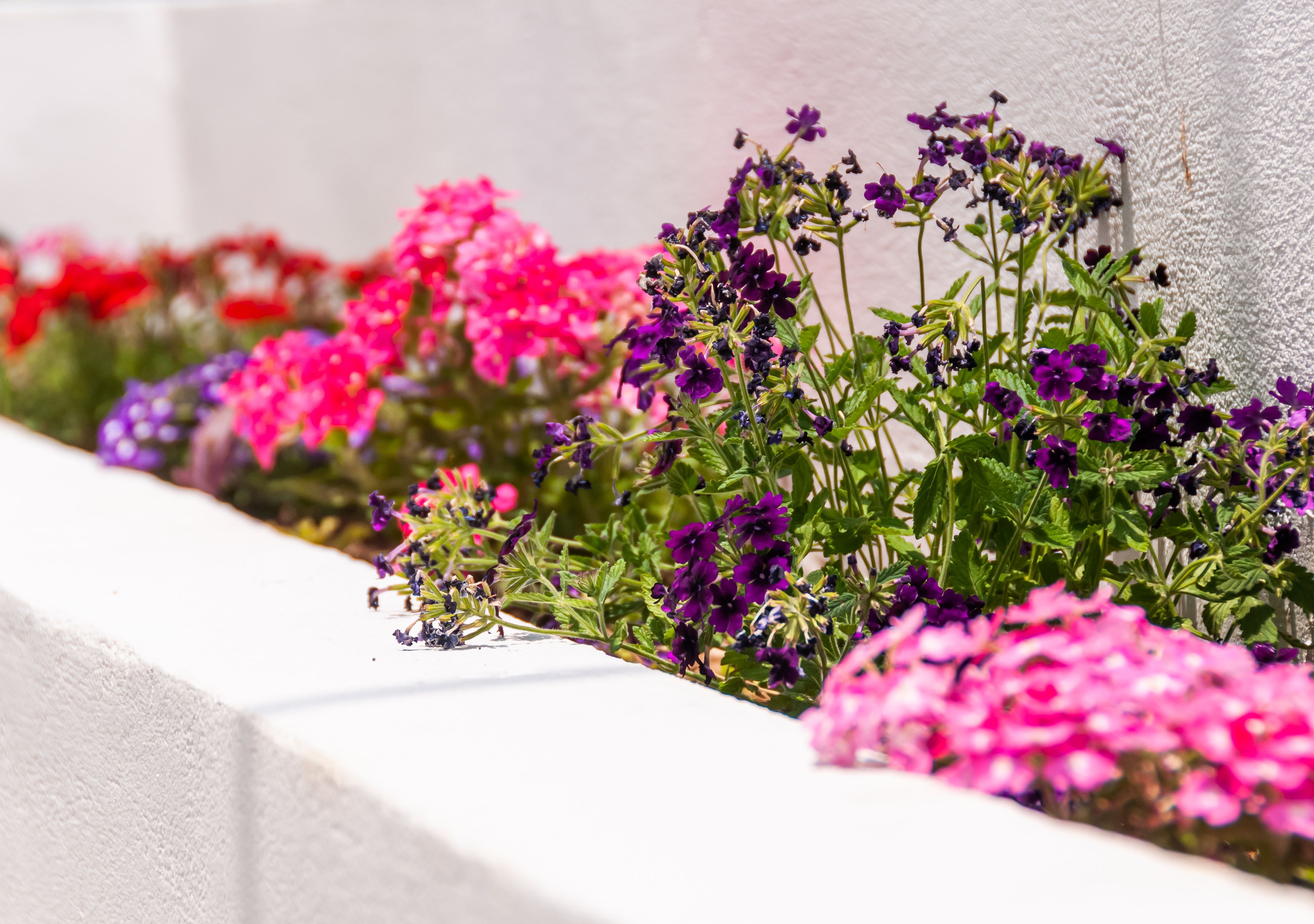 Epavli Boutique Hotel