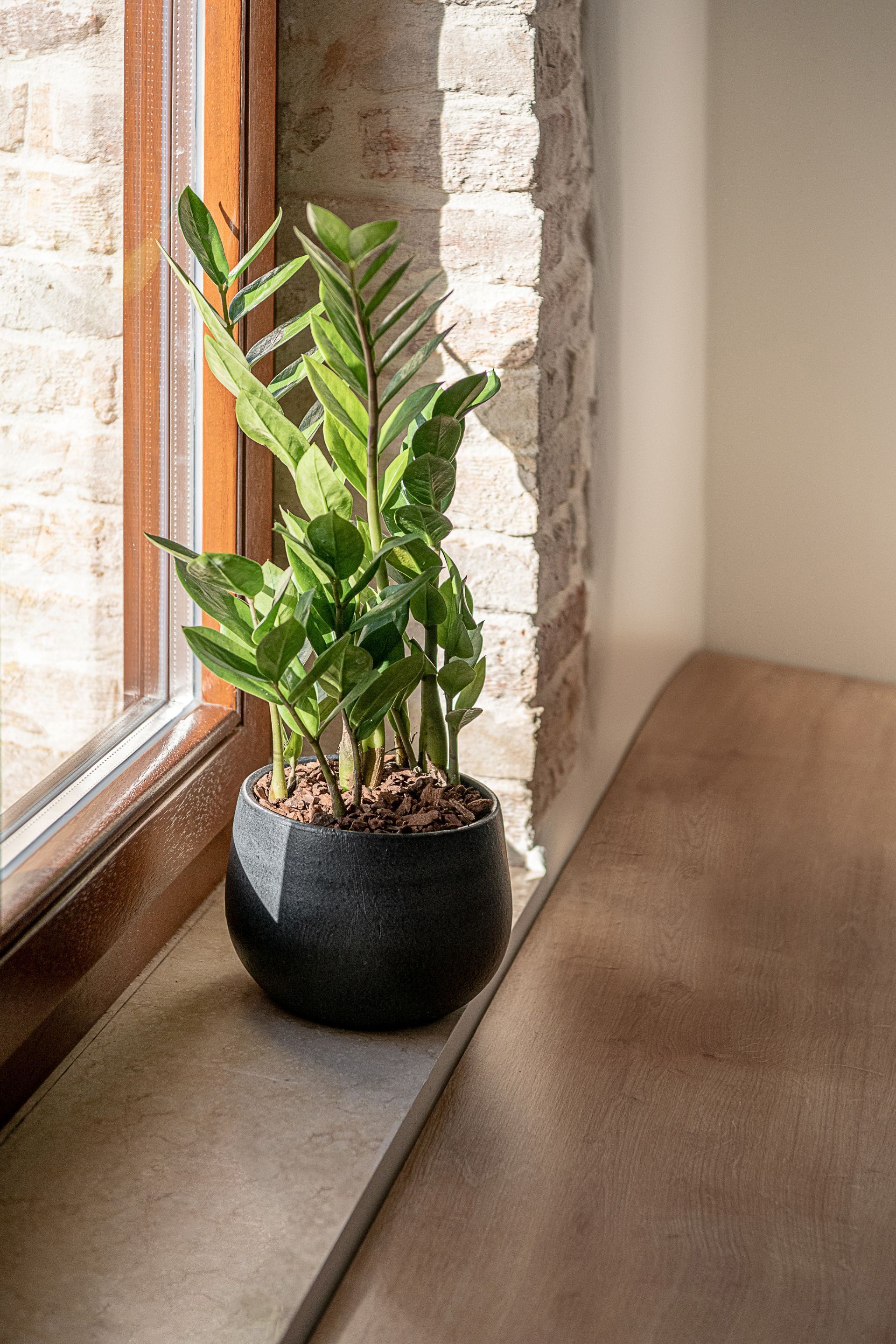 Ethos Suites