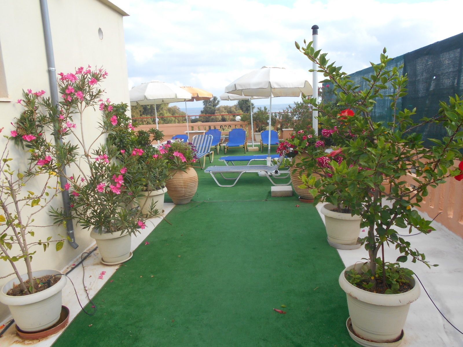 Ilona Hotel Apartments