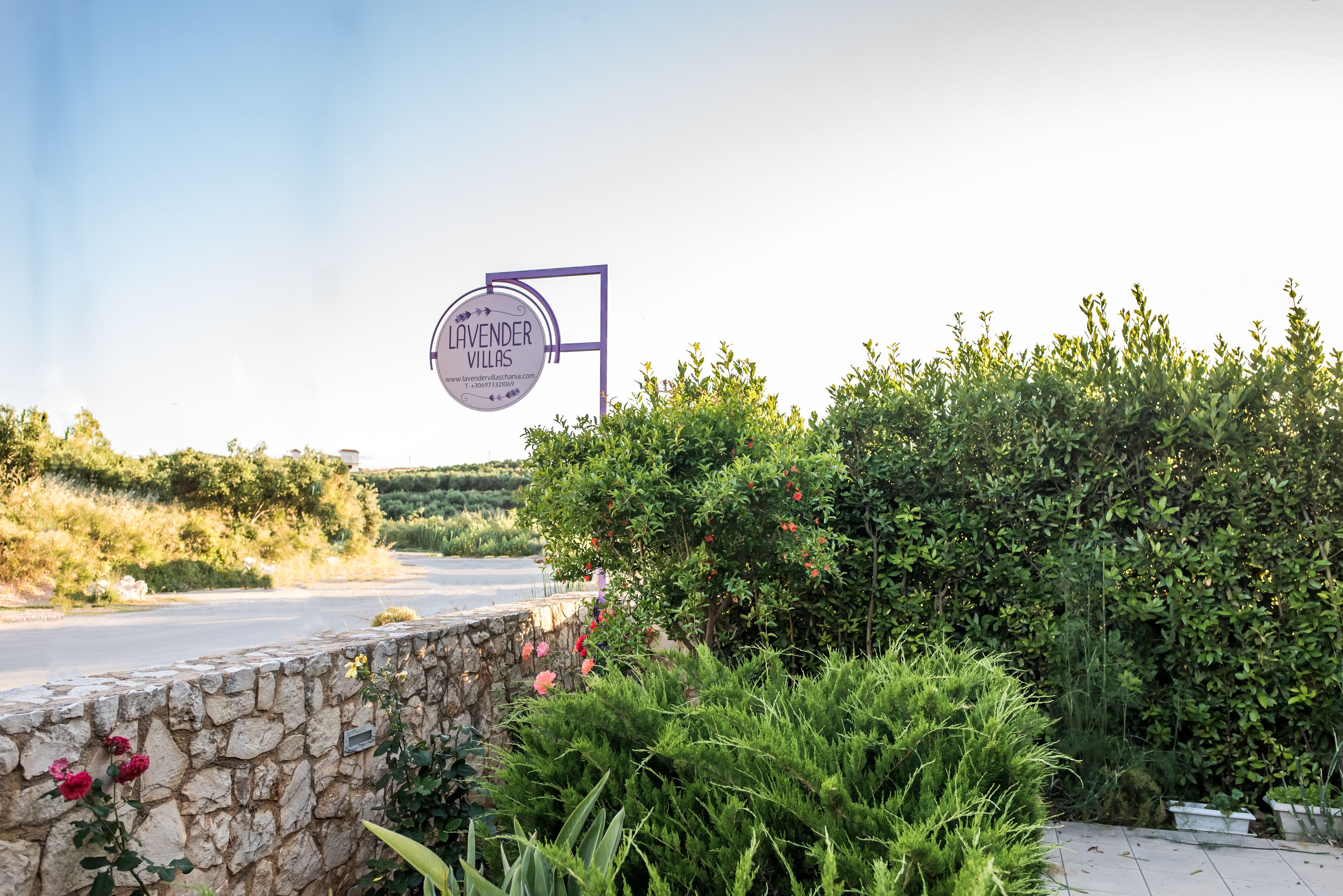 Lavender Villas